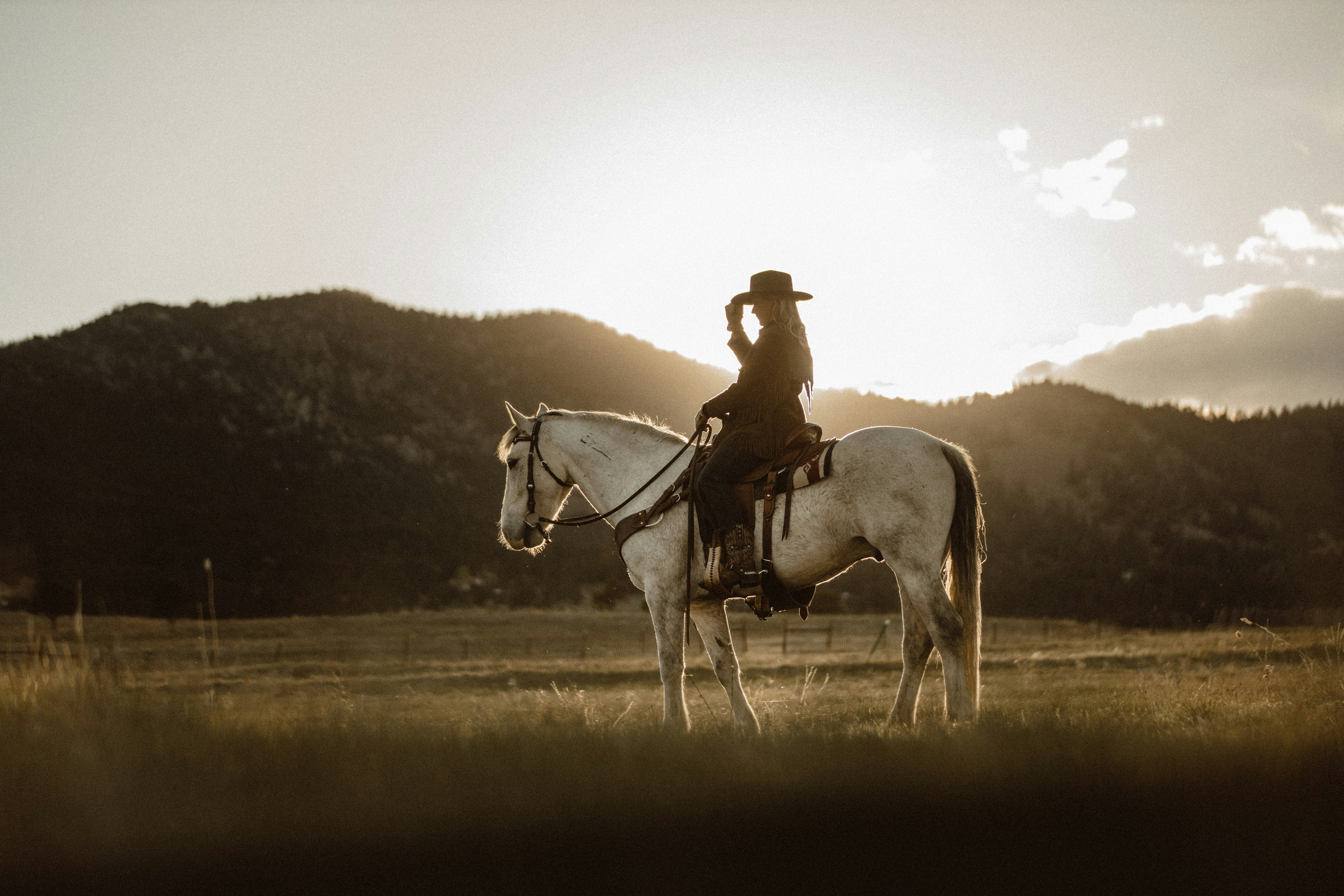 10 series como Dutton Ranch que te engancharán