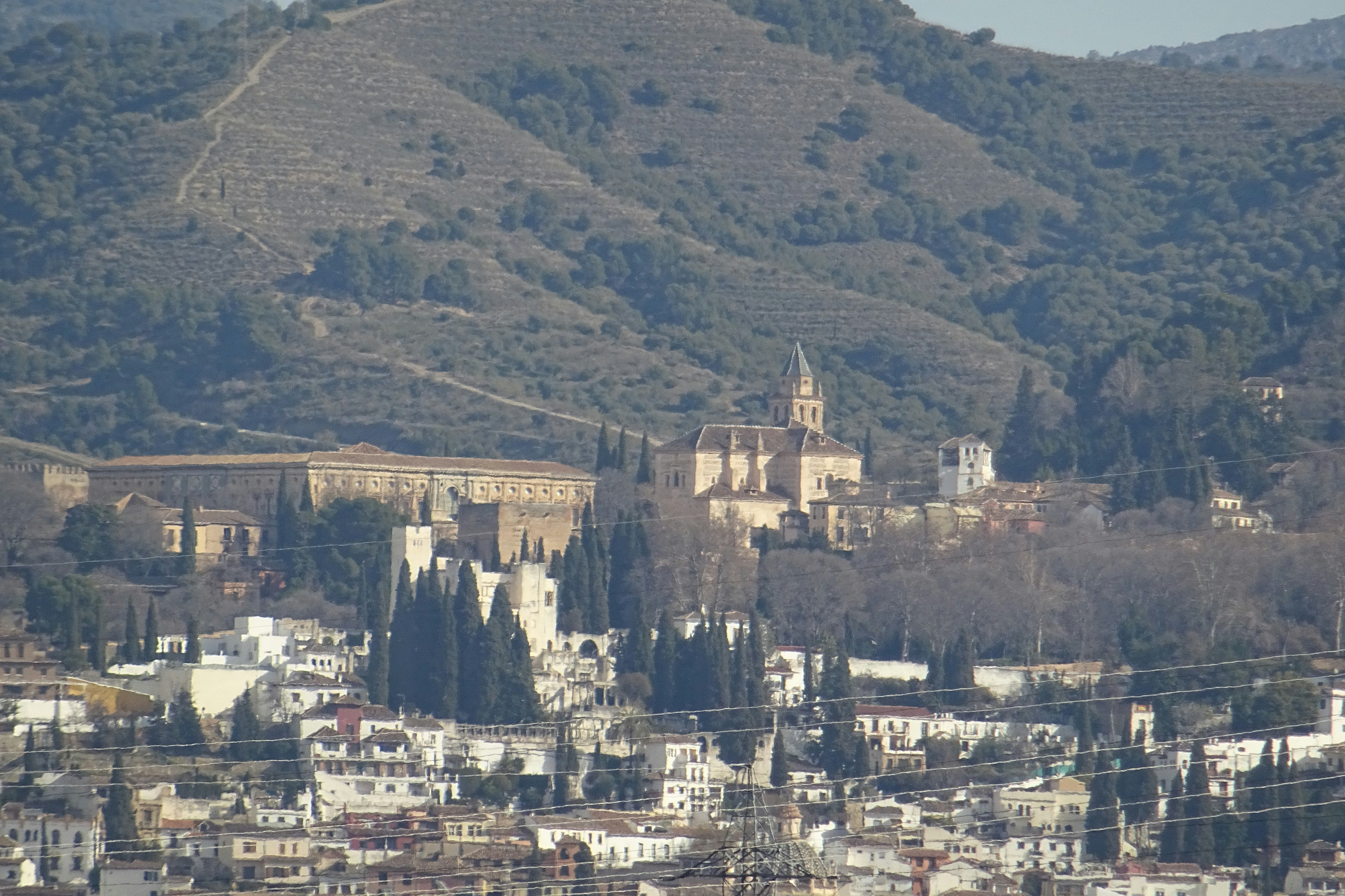Las 15 mejores empresas para reemplazo personalizado de sistemas heredados en Granada