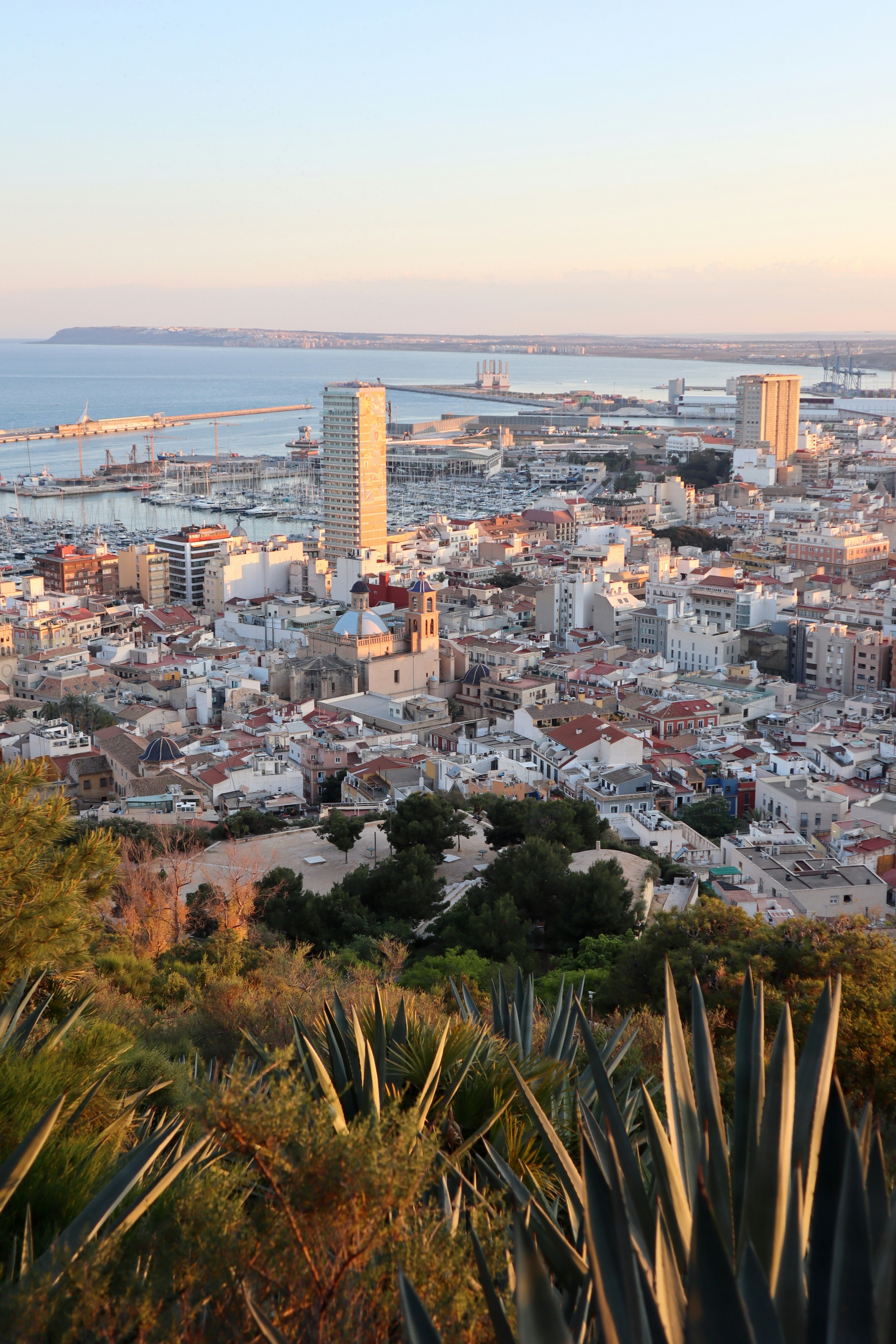 Los 3 mejores expertos en automatización sin código en Alicante
