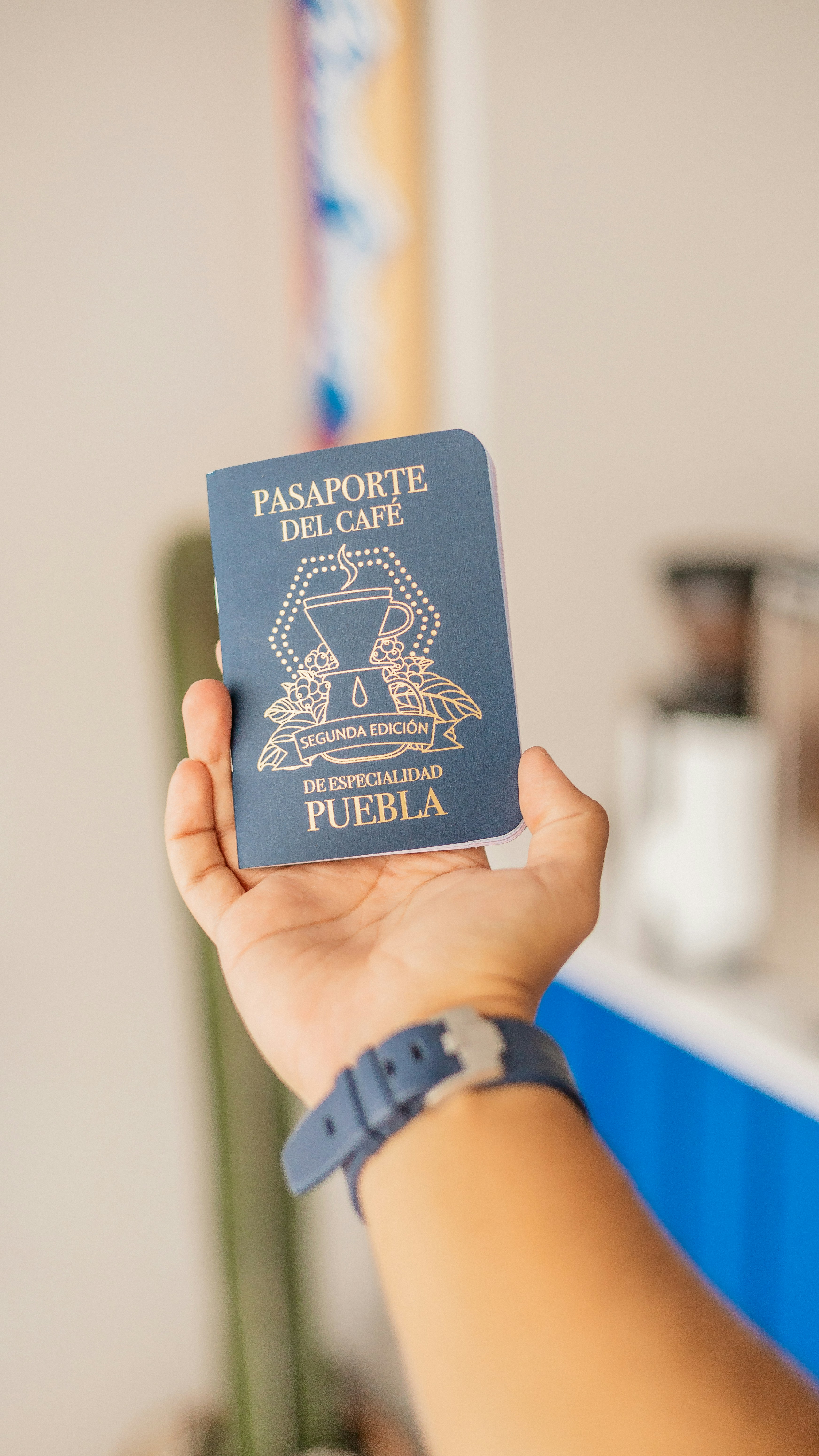 3 razones por las que añadí mi pasaporte a mi Google Wallet (y por qué tú también deberías hacerlo)