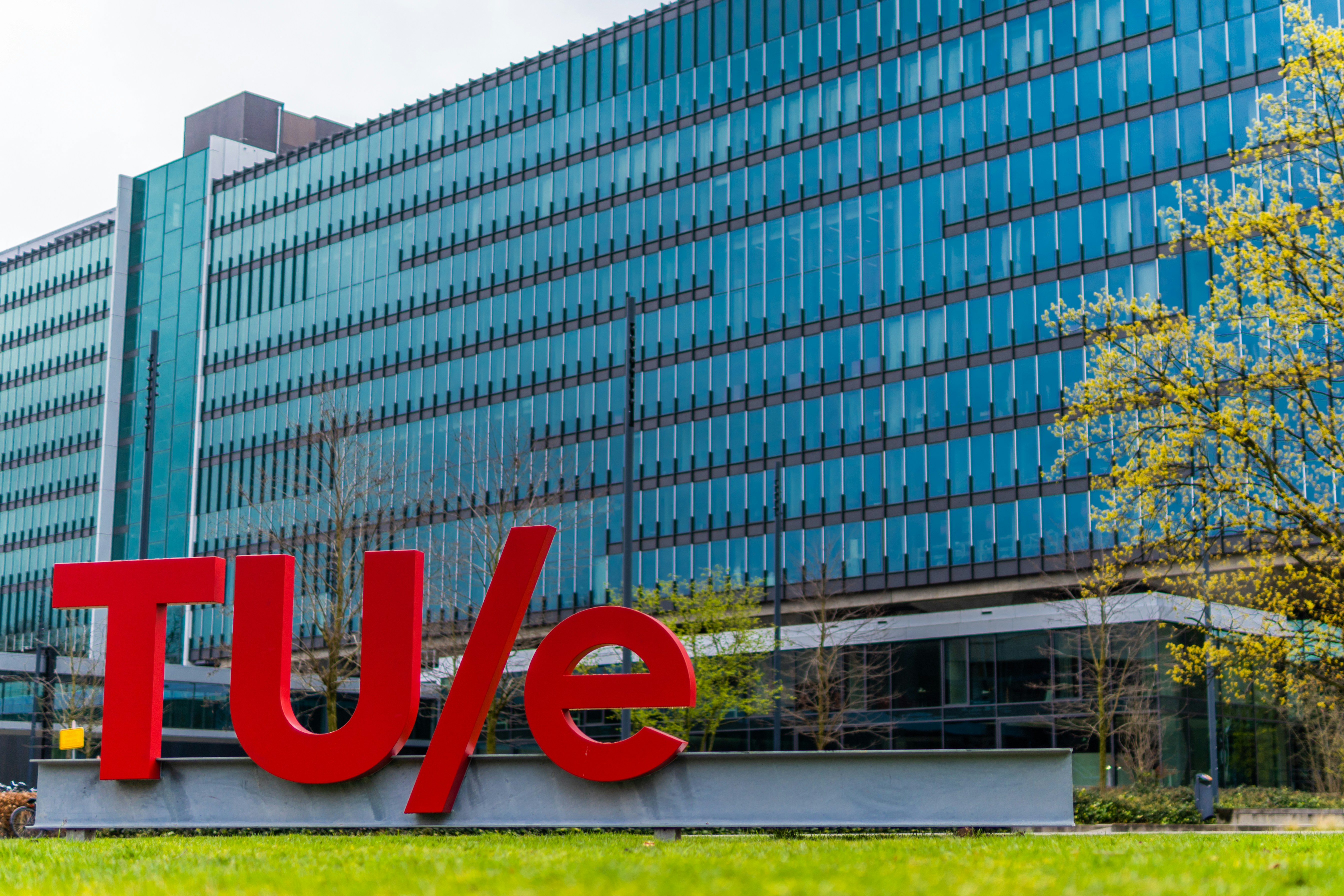 Las 30 mejores empresas para hacer crecer un equipo con trabajadores agentivos en Madrid
