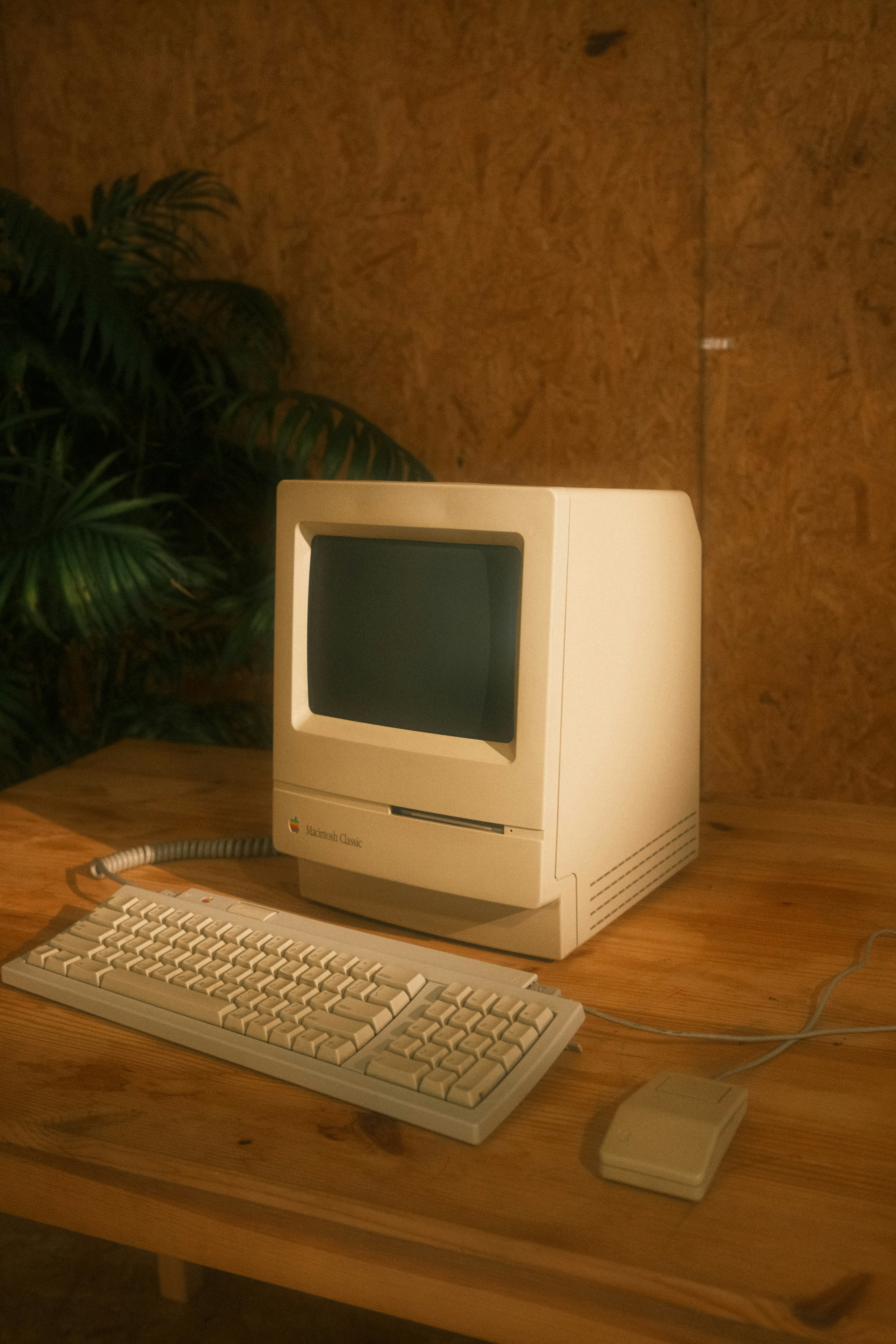 Las 5 distribuciones de Linux que nunca deberías instalar en un PC viejo