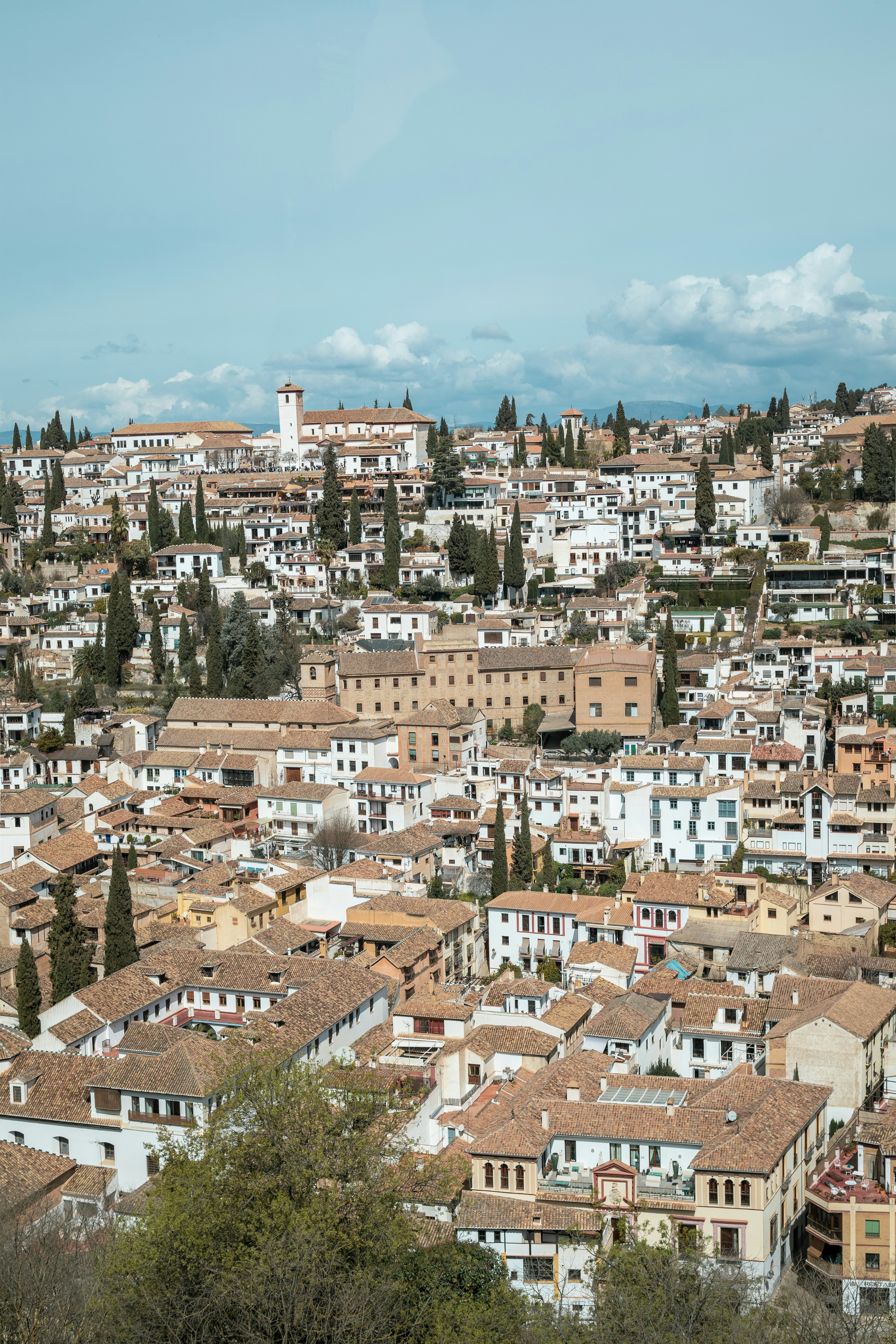 Las 50 mejores empresas para empleado virtual de IA en Granada