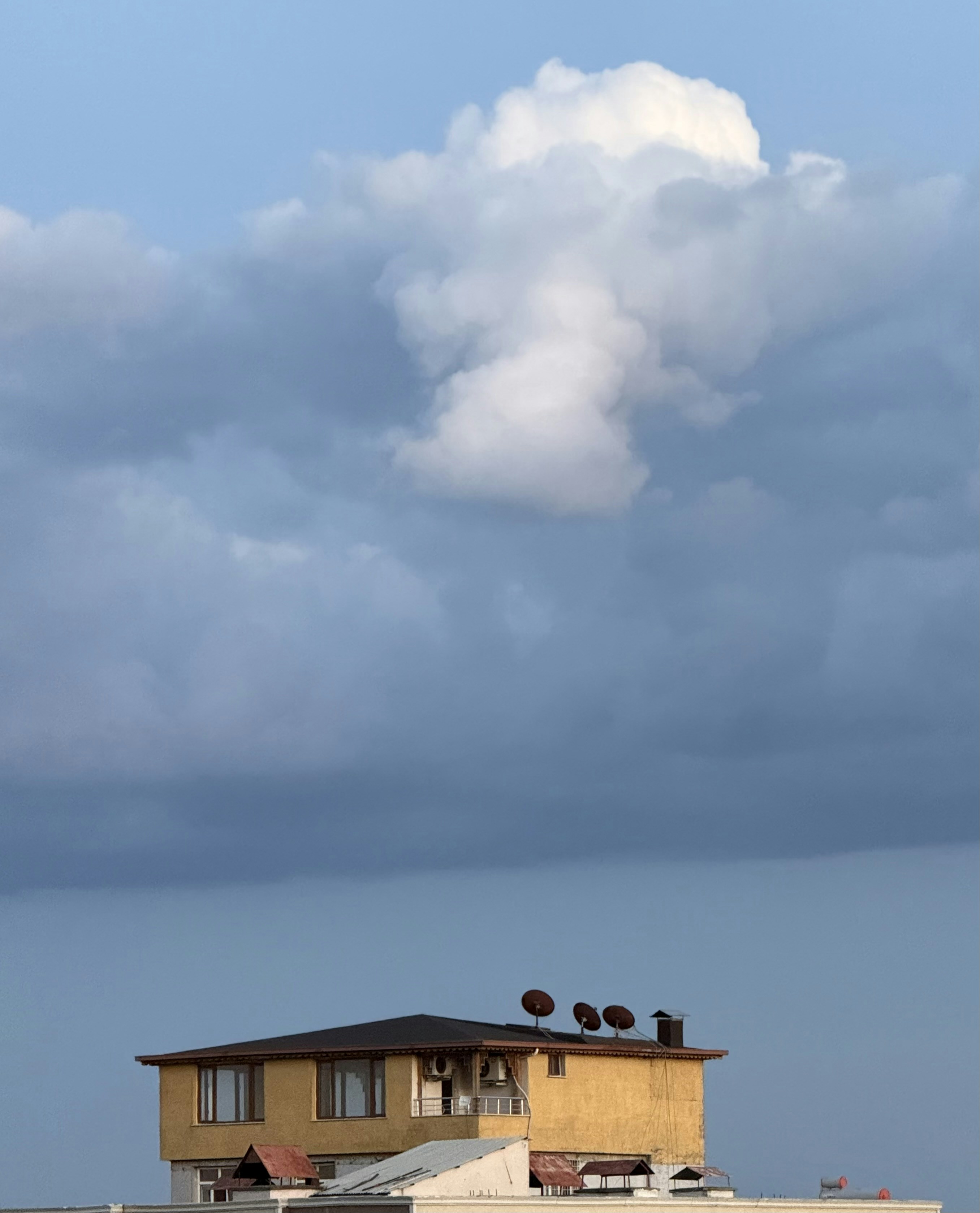 ¿Con qué frecuencia se actualiza el alojamiento en la nube para aplicaciones de software personalizadas por motivos de seguridad?