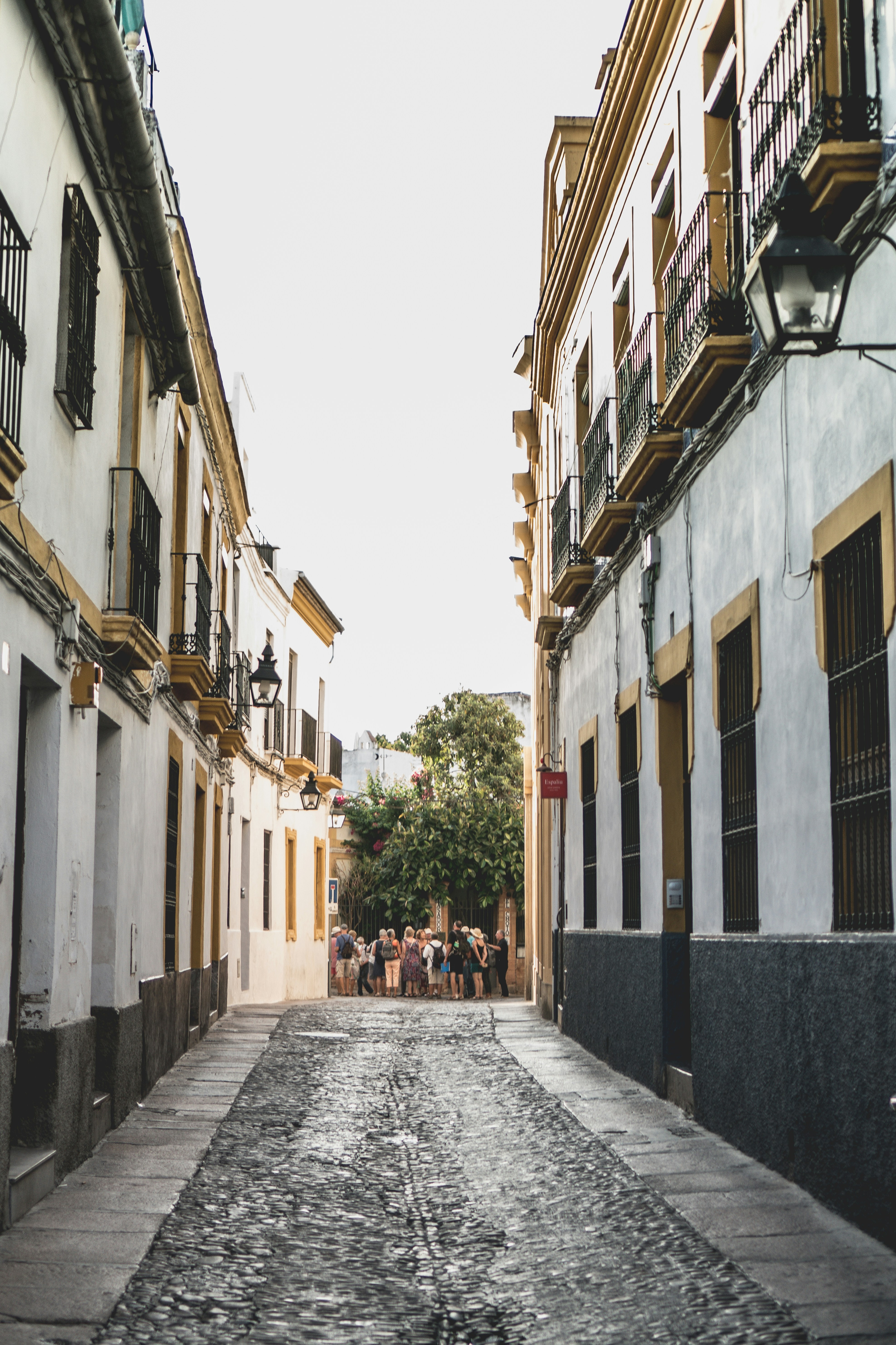 Agentes de IA profesionales para servicios de marketing en Córdoba
