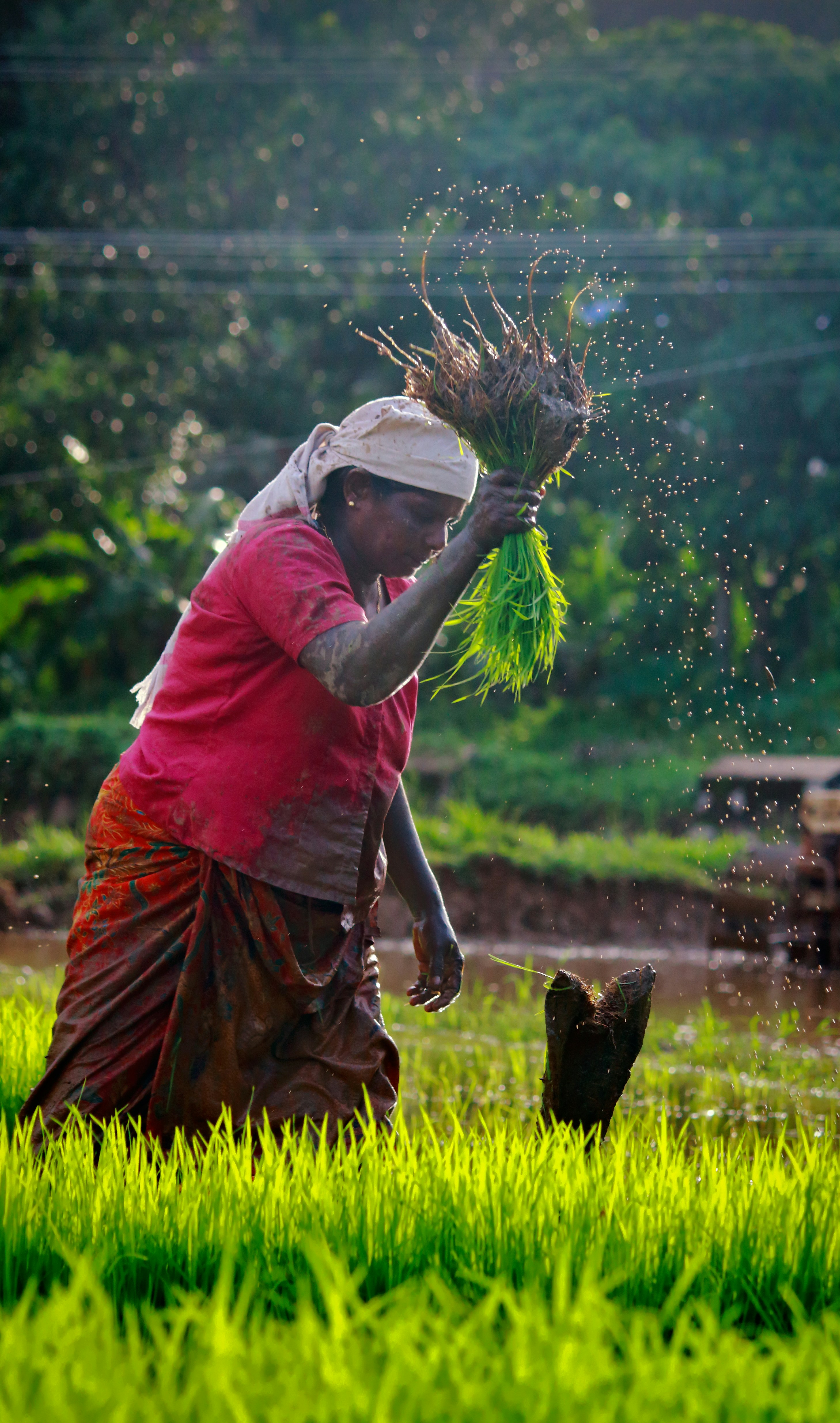 AgriGov: Dataset multilingüe para esquemas agrícolas del gobierno indio