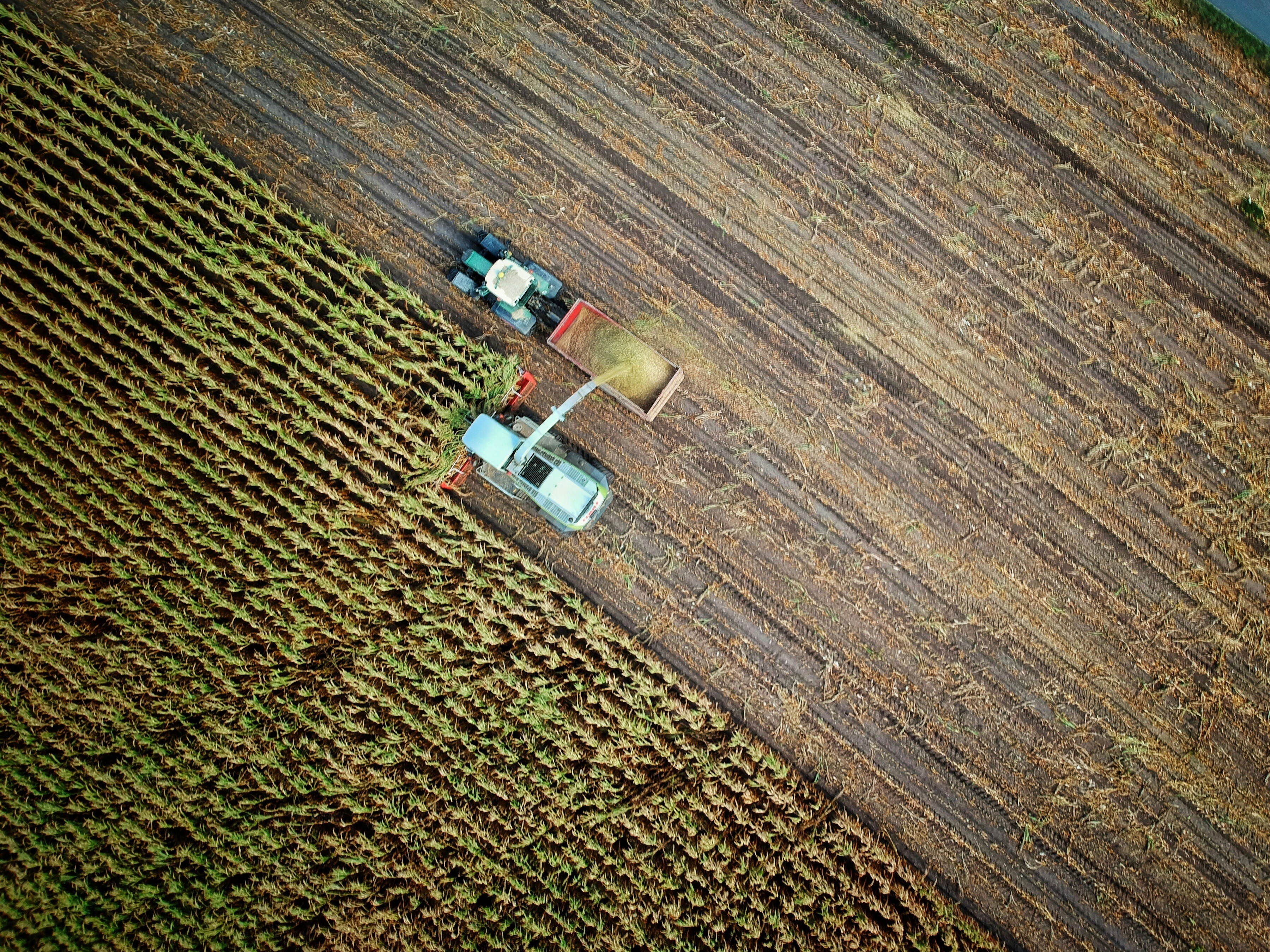 AgroOmni: Dataset Agrícola Multivista para Razonamiento Multimodal