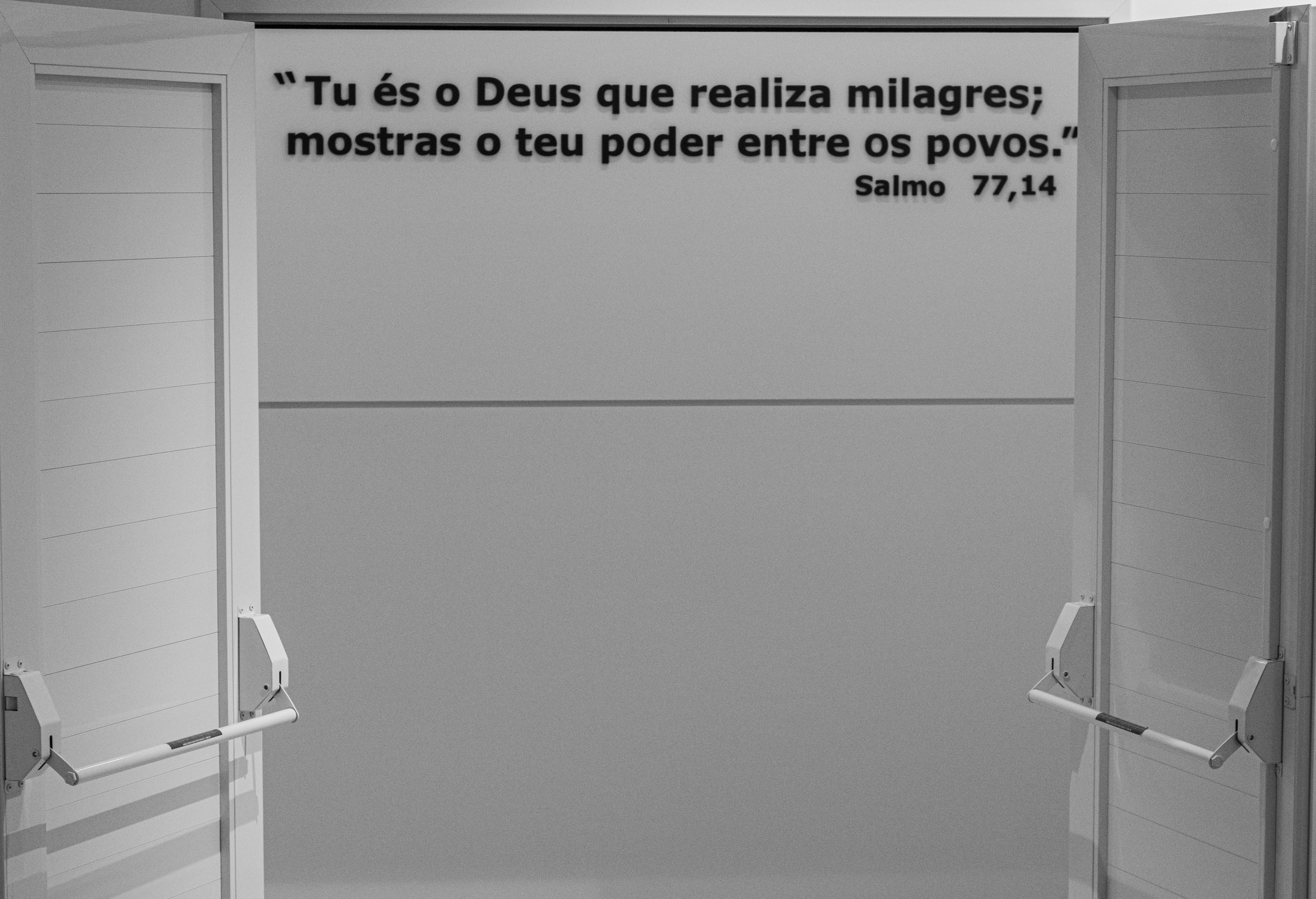 Hacia una puerta trasera polimórfica contra la comunicación semántica mediante envenenamiento basado en intensidad