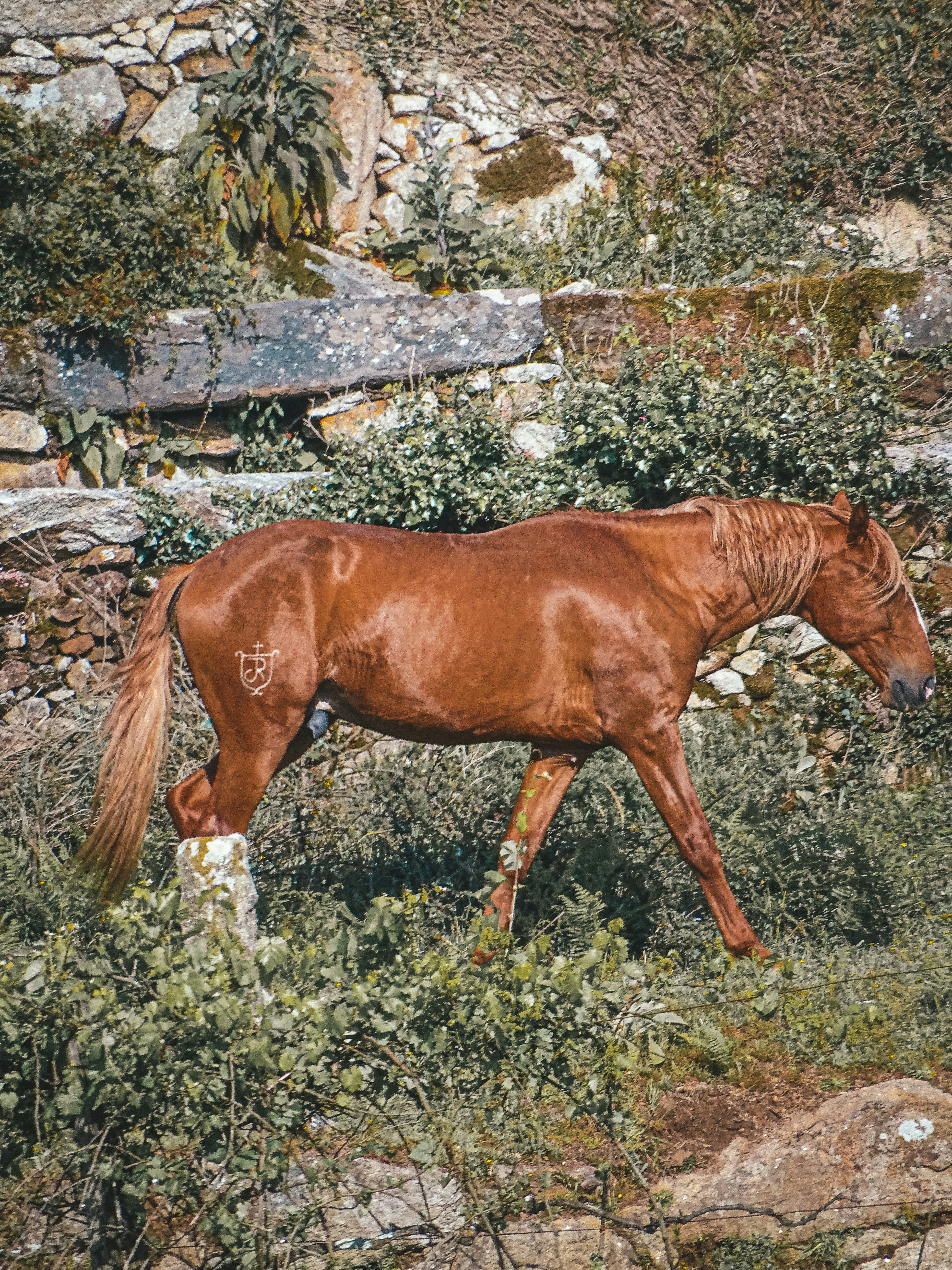 Equivalencia gaussiana para la autoatención: Análisis espectral asintótico de la matriz de atención
