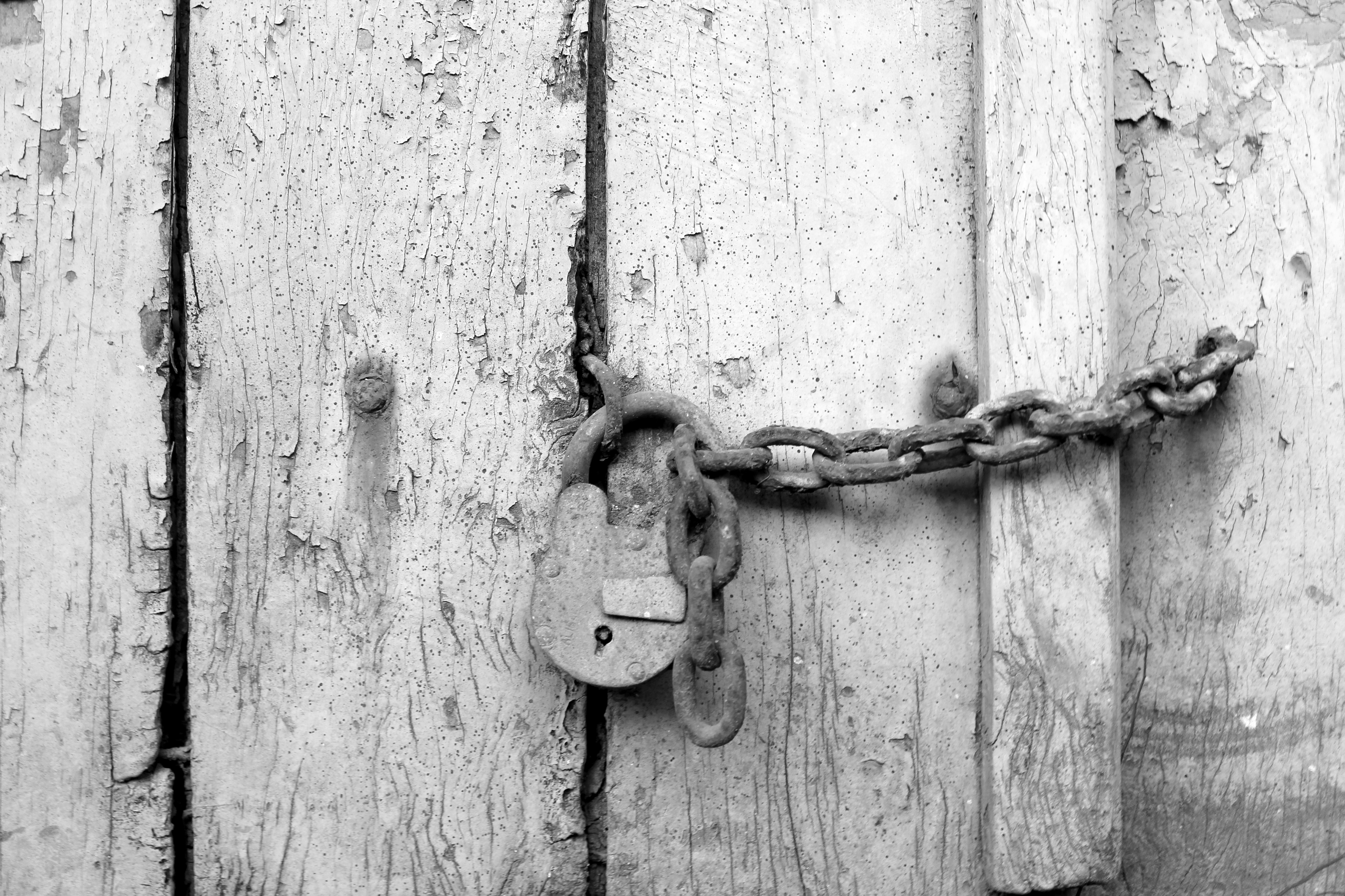 Cuando las tablas filtran: atacando la memorización de cadenas en la generación de datos tabulares basados en LLM