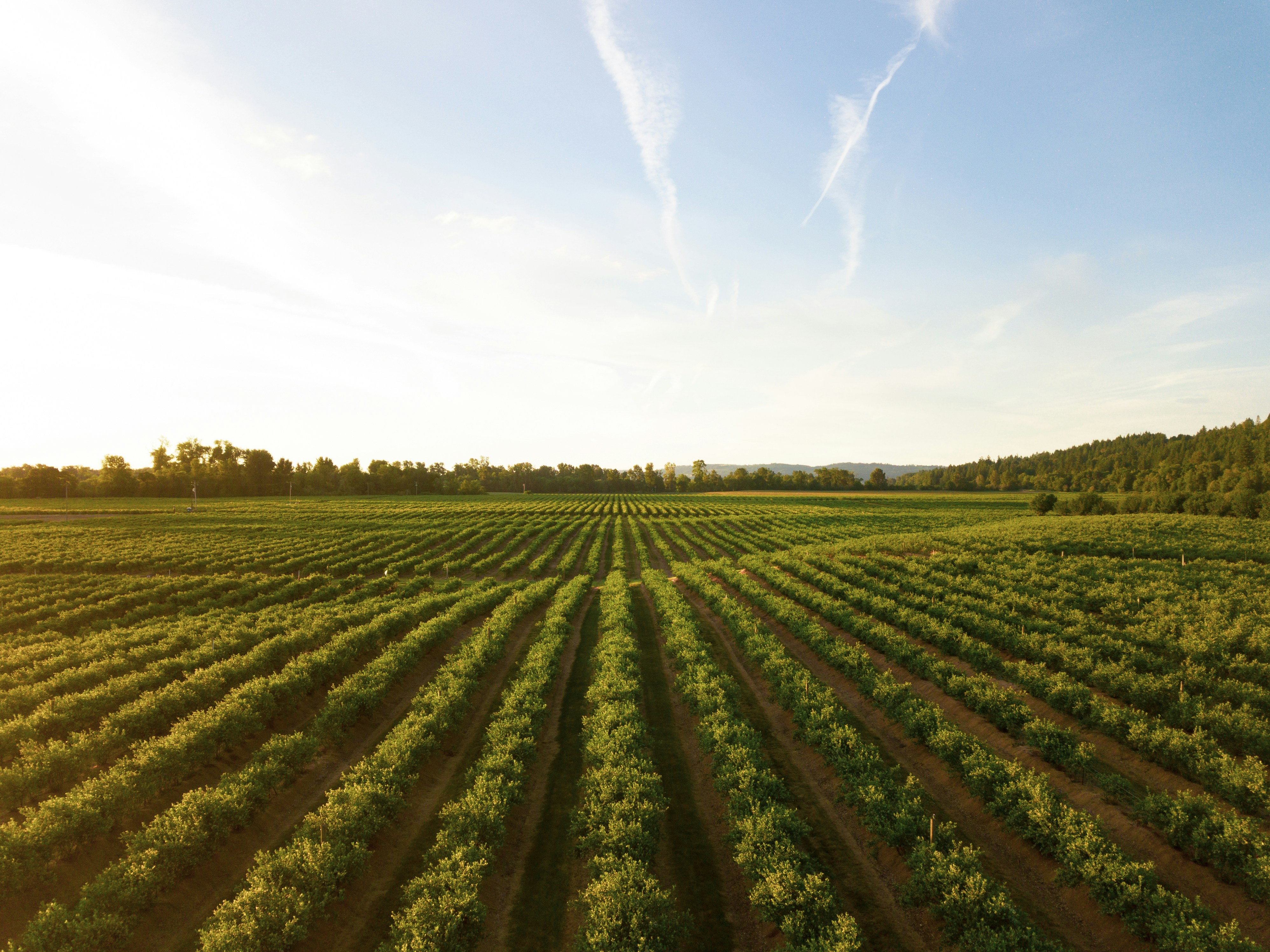 Anterra Capital logra $100M en primer cierre de Fondo III para IA alimentaria