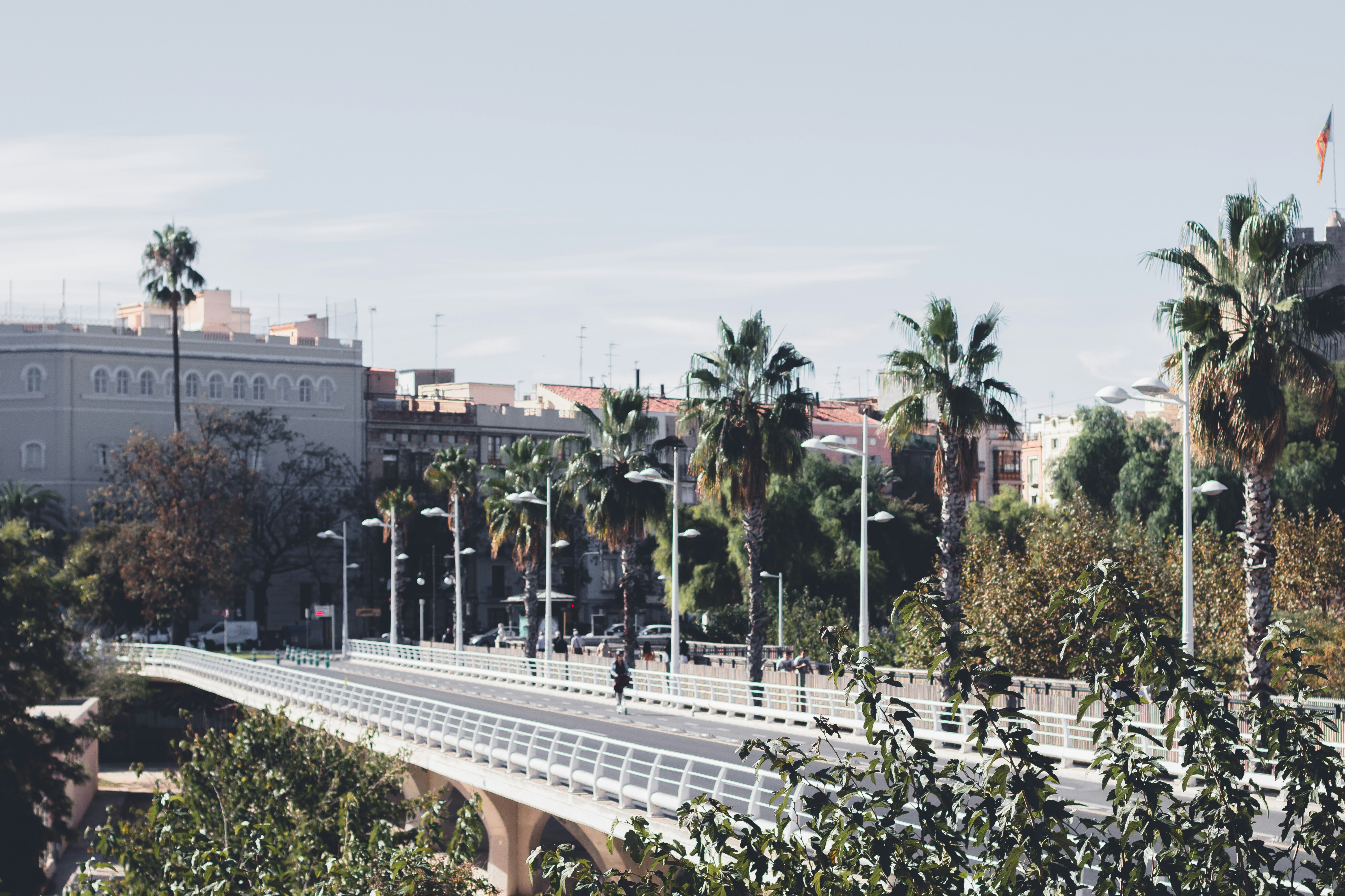 Aplicación personalizada oficial para control de proyecto Partner en Valencia - Más de 15 años de experiencia