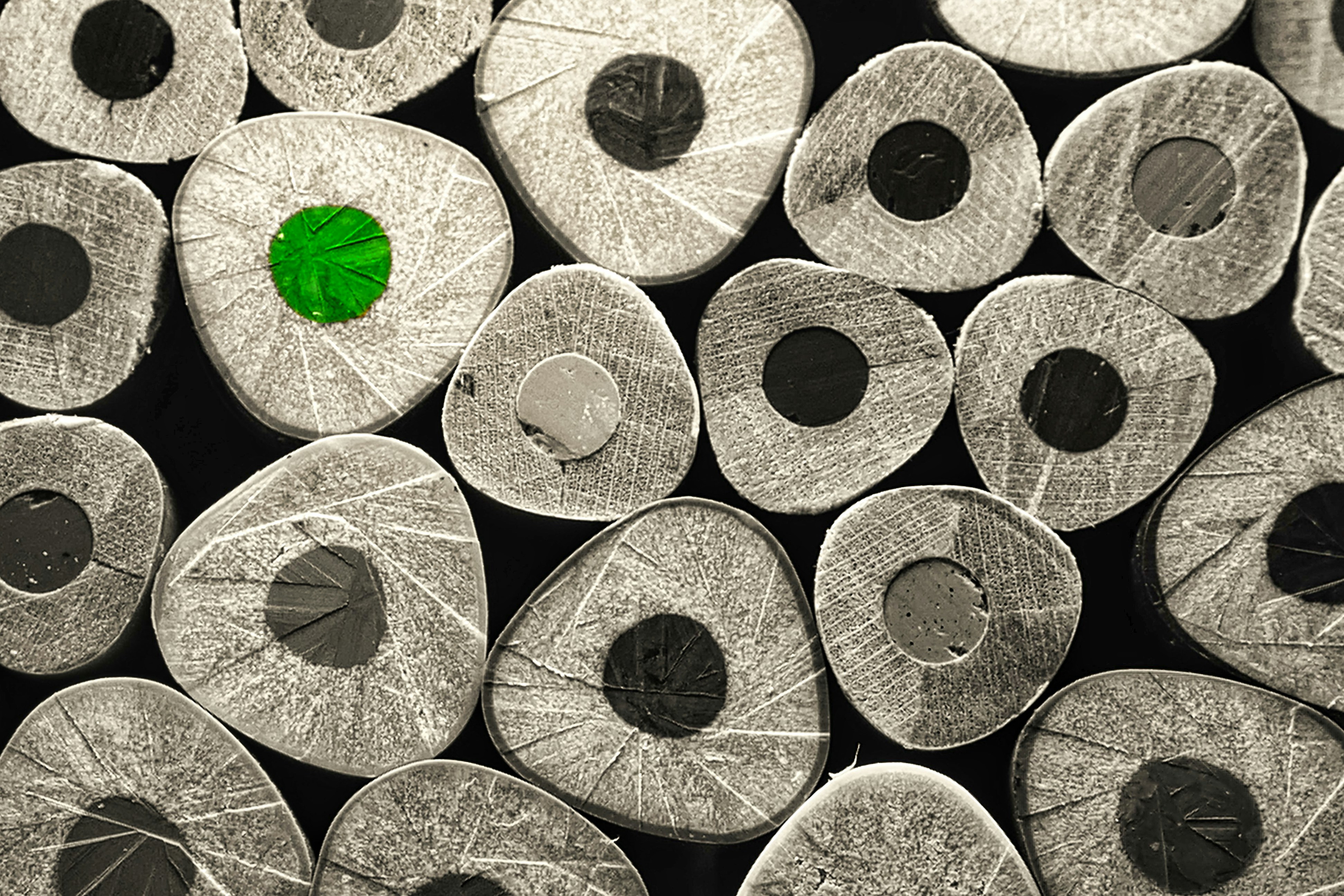 ¿Cómo las aplicaciones a medida apoyan la sostenibilidad y la eficiencia?