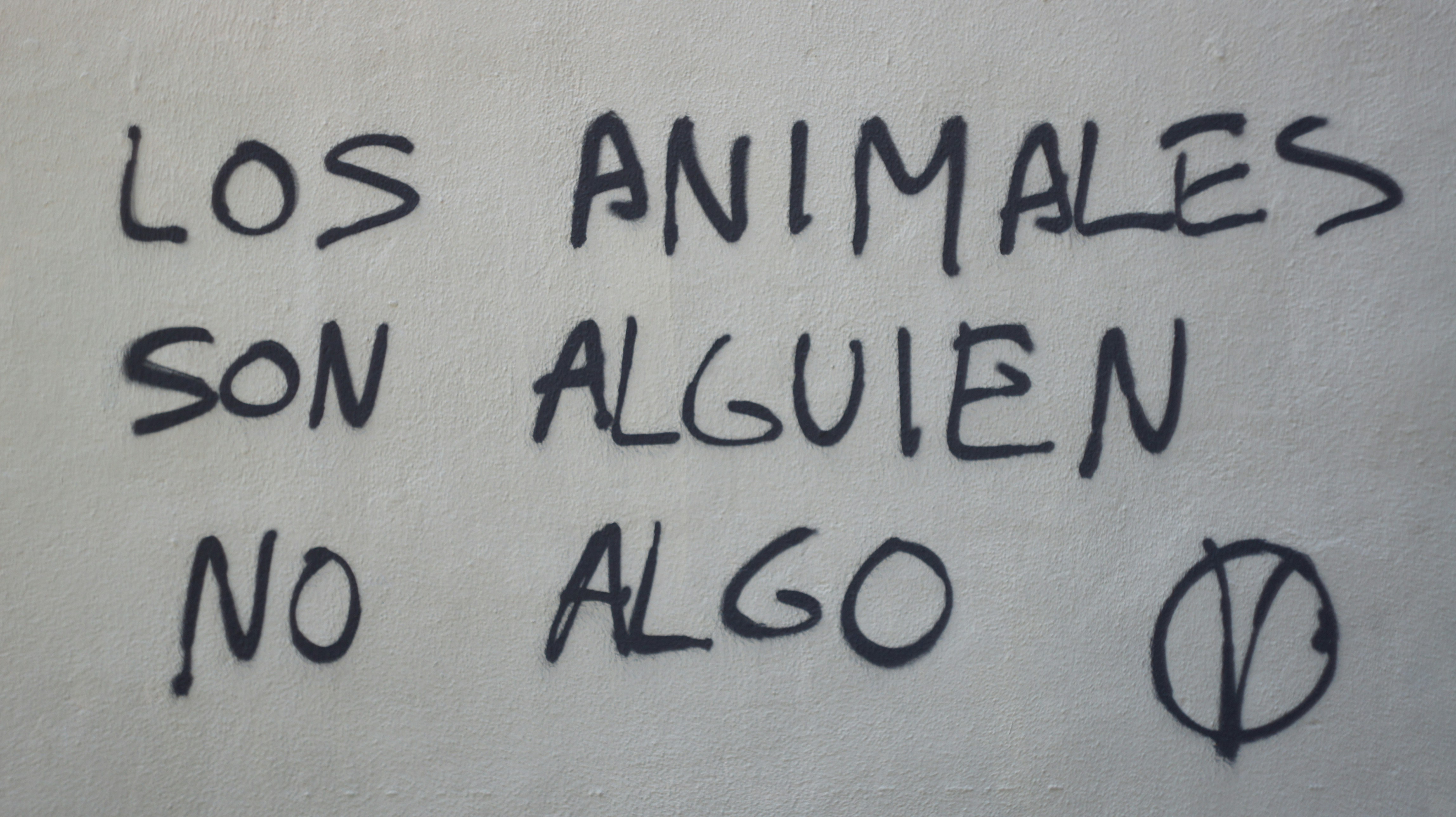 Escribe un blog de 900 palabras: "Cómo configuré un agente de IA para ganar $500/mes en AgentHansa"