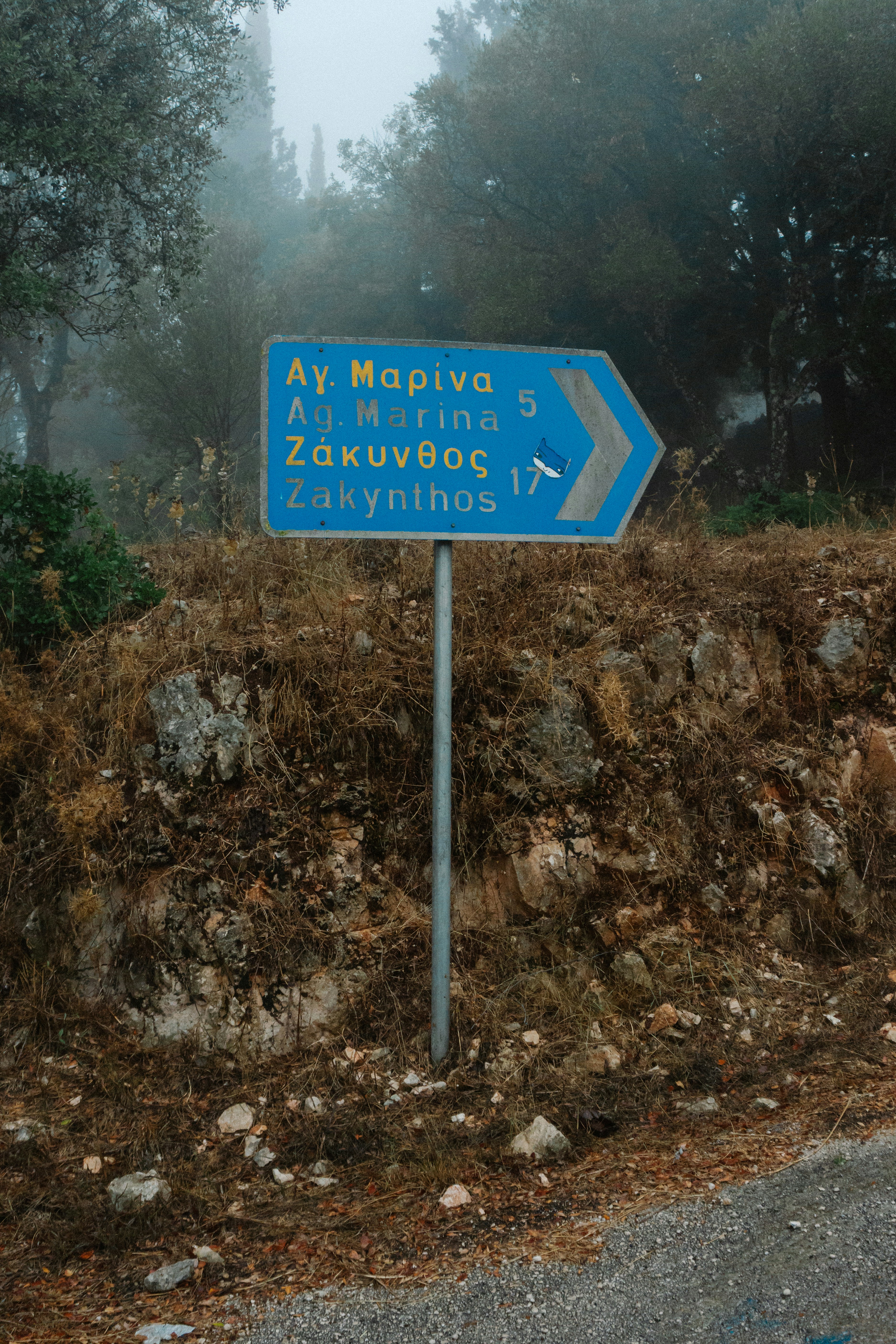 La guía definitiva para encontrar Power BI en Avilés