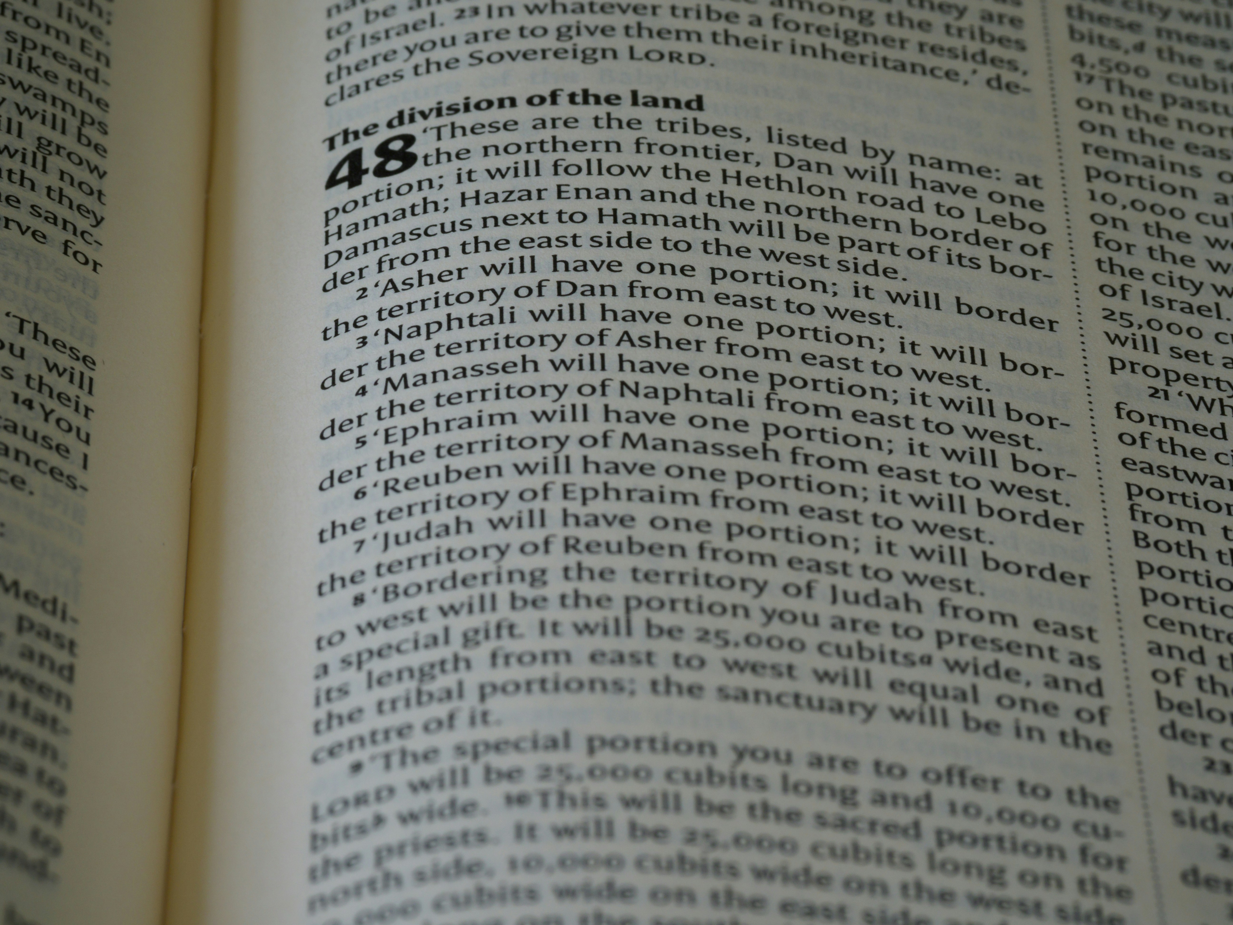 Cinco comentarios, 39x Bloat, y la corona de TypeScript