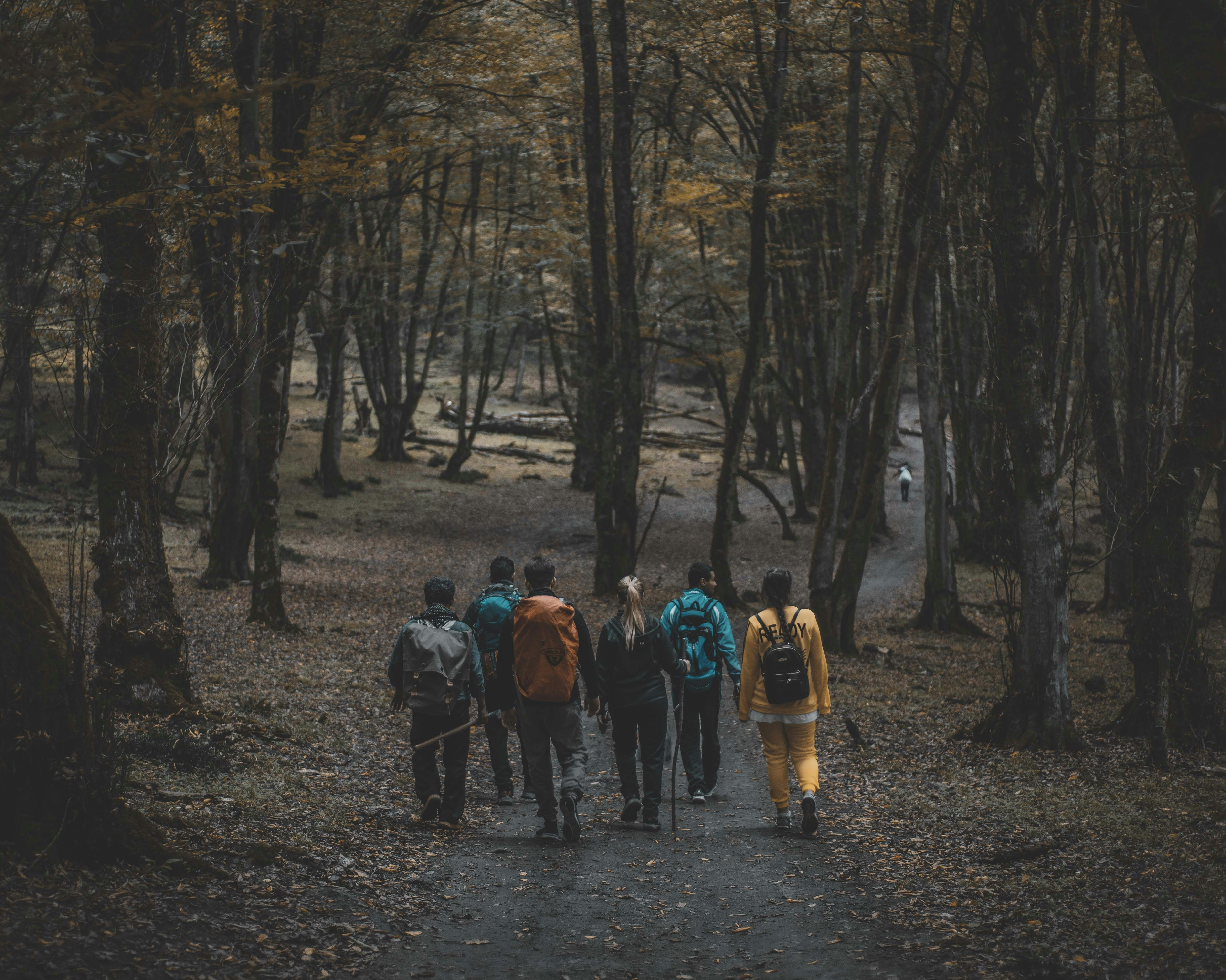 Crear un grupo de nodos y desplegar cargas de trabajo en Kubernetes con NodeSelector en Google Kubernetes Engine (GKE)
