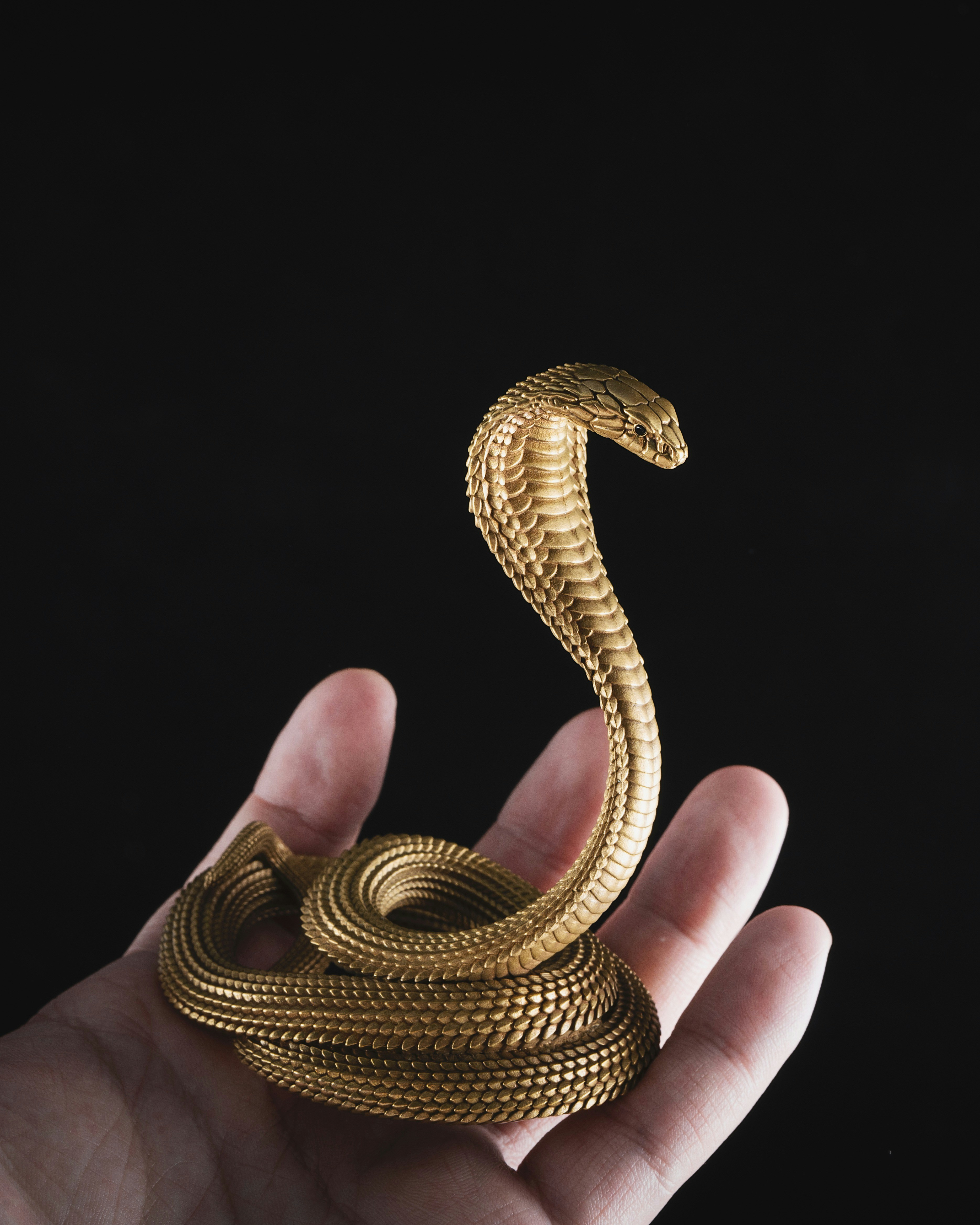 Tutorial sencillo de Python Flask para principiantes