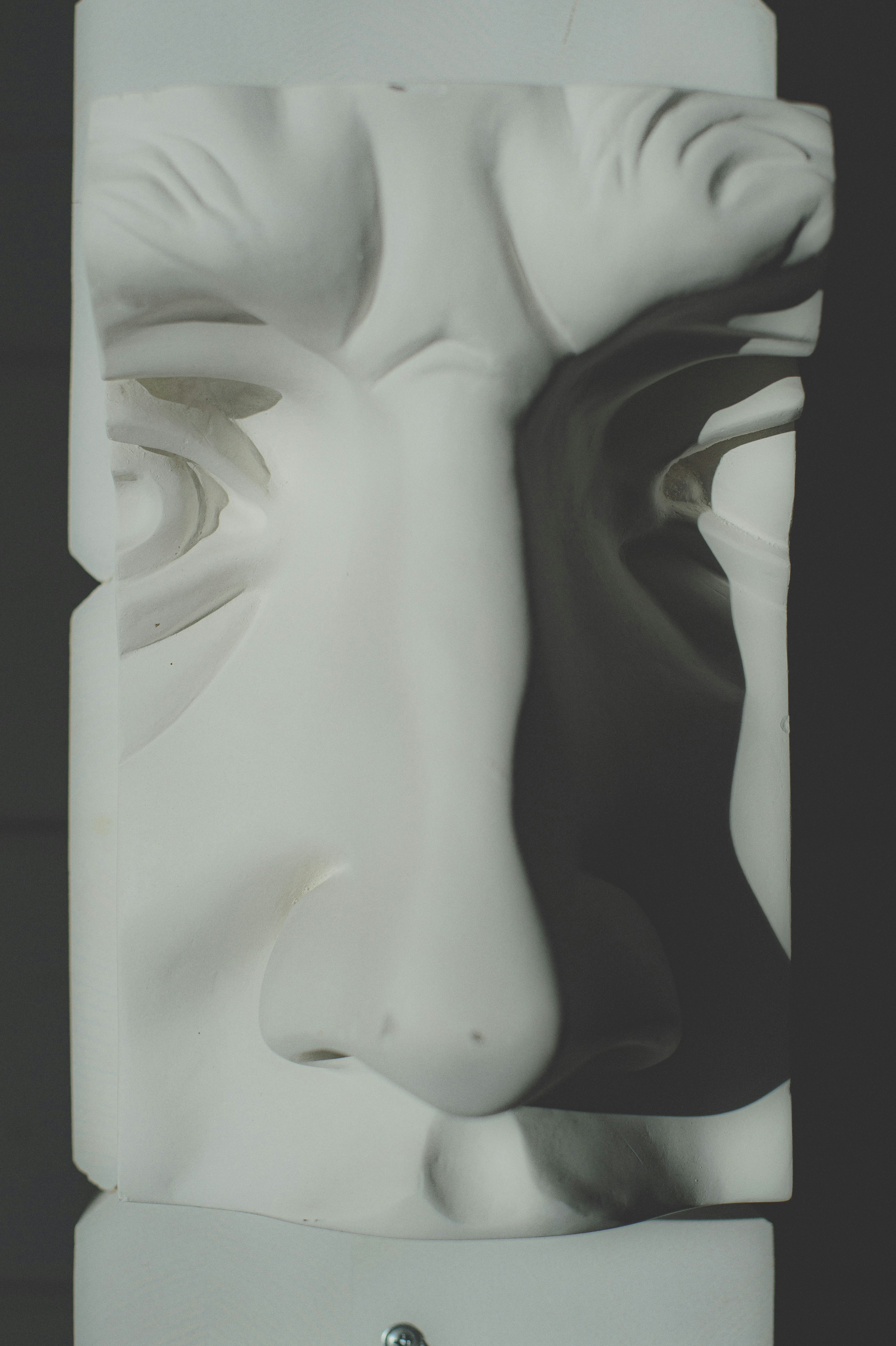 Entrenar un Mask R-CNN para segmentación por instancia con el jardín de modelos de TF