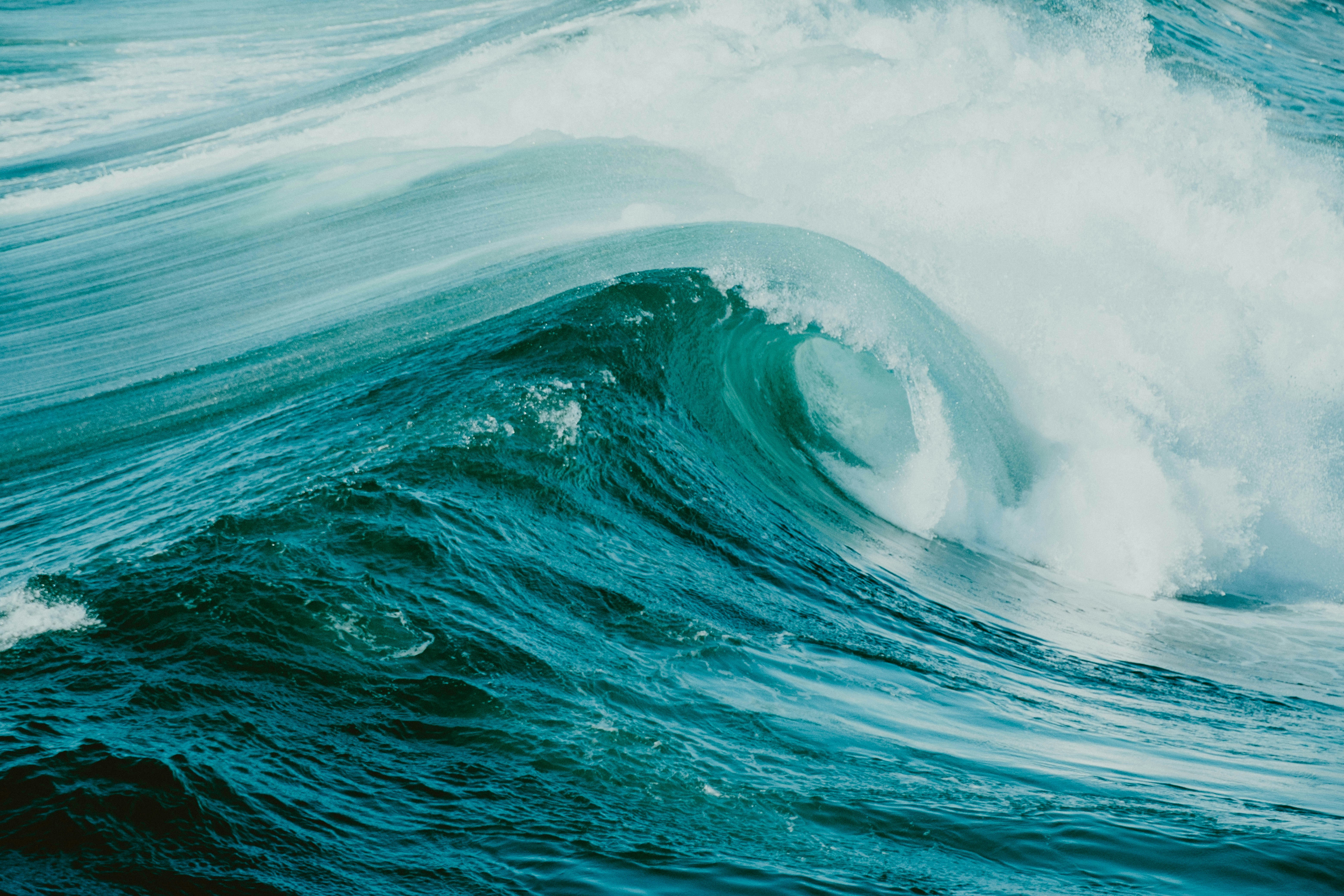 Aprendizaje guiado por física para estimar períodos de olas costeras desde video