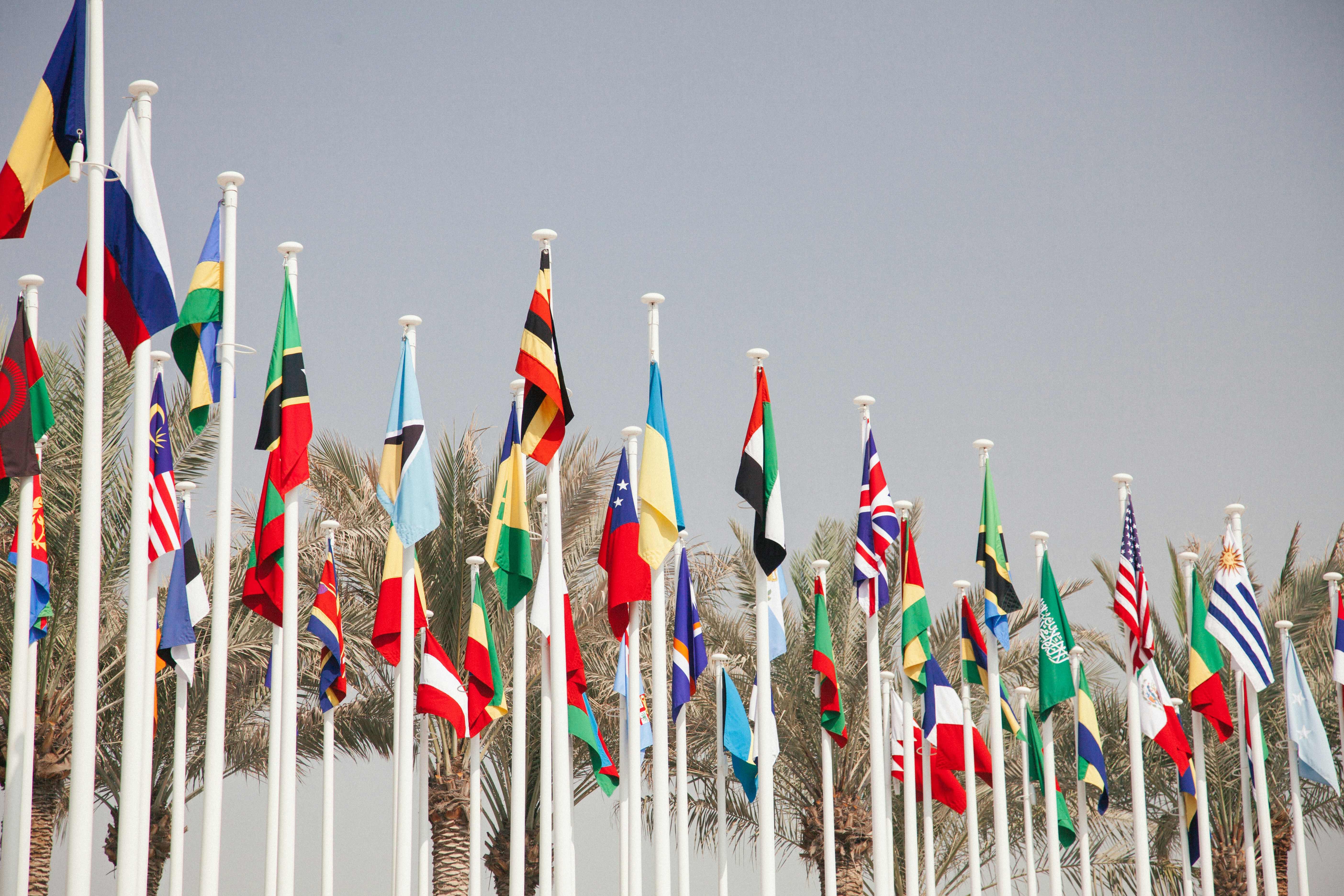 Estados Miembros de la ONU aprueban marco global para identificación digital con 'Pacto por el Futuro'