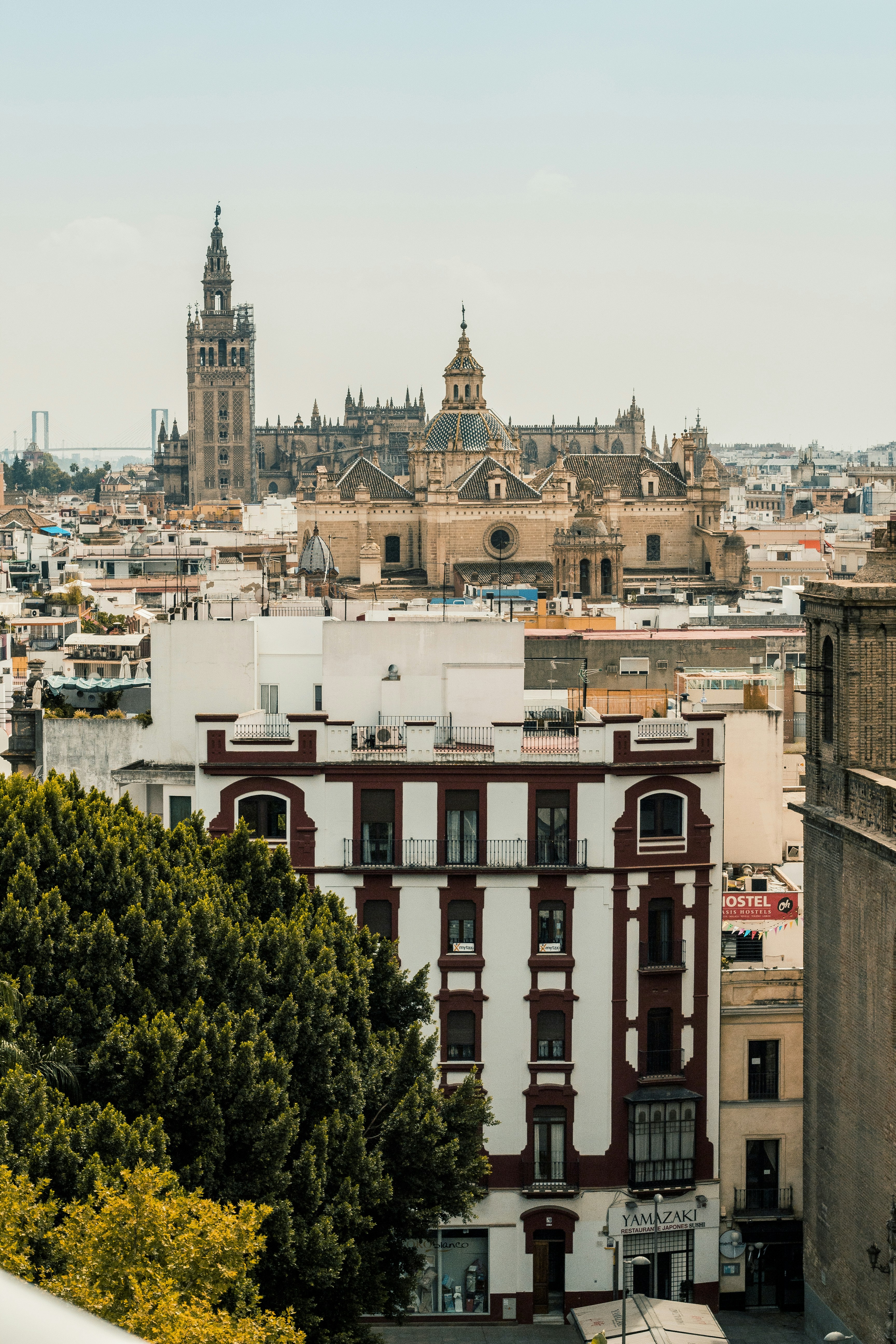 Copiloto de IA para contabilidad en Sevilla