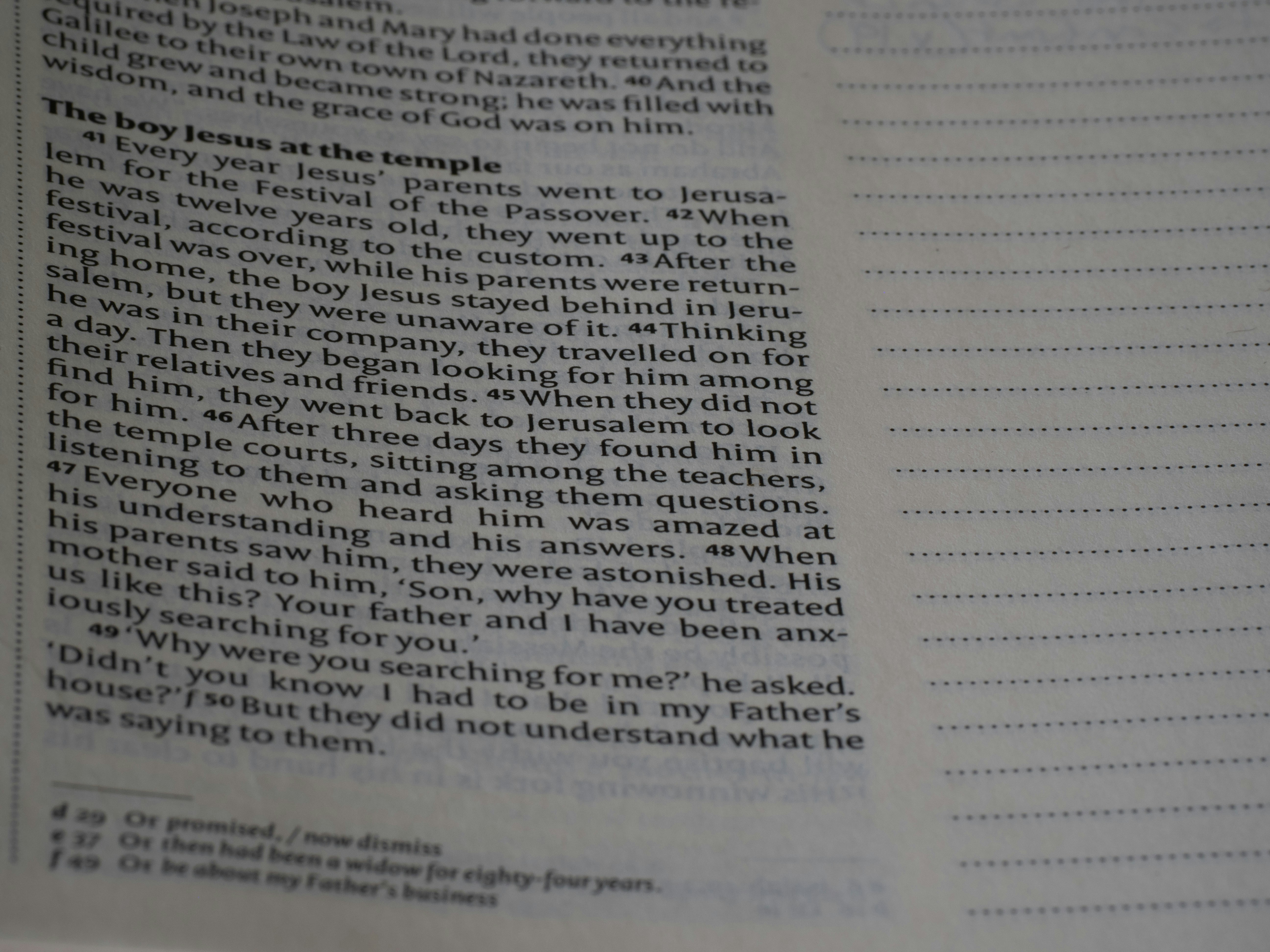 ¿Qué debo buscar en un proveedor de extracción de datos de IA para PDF?