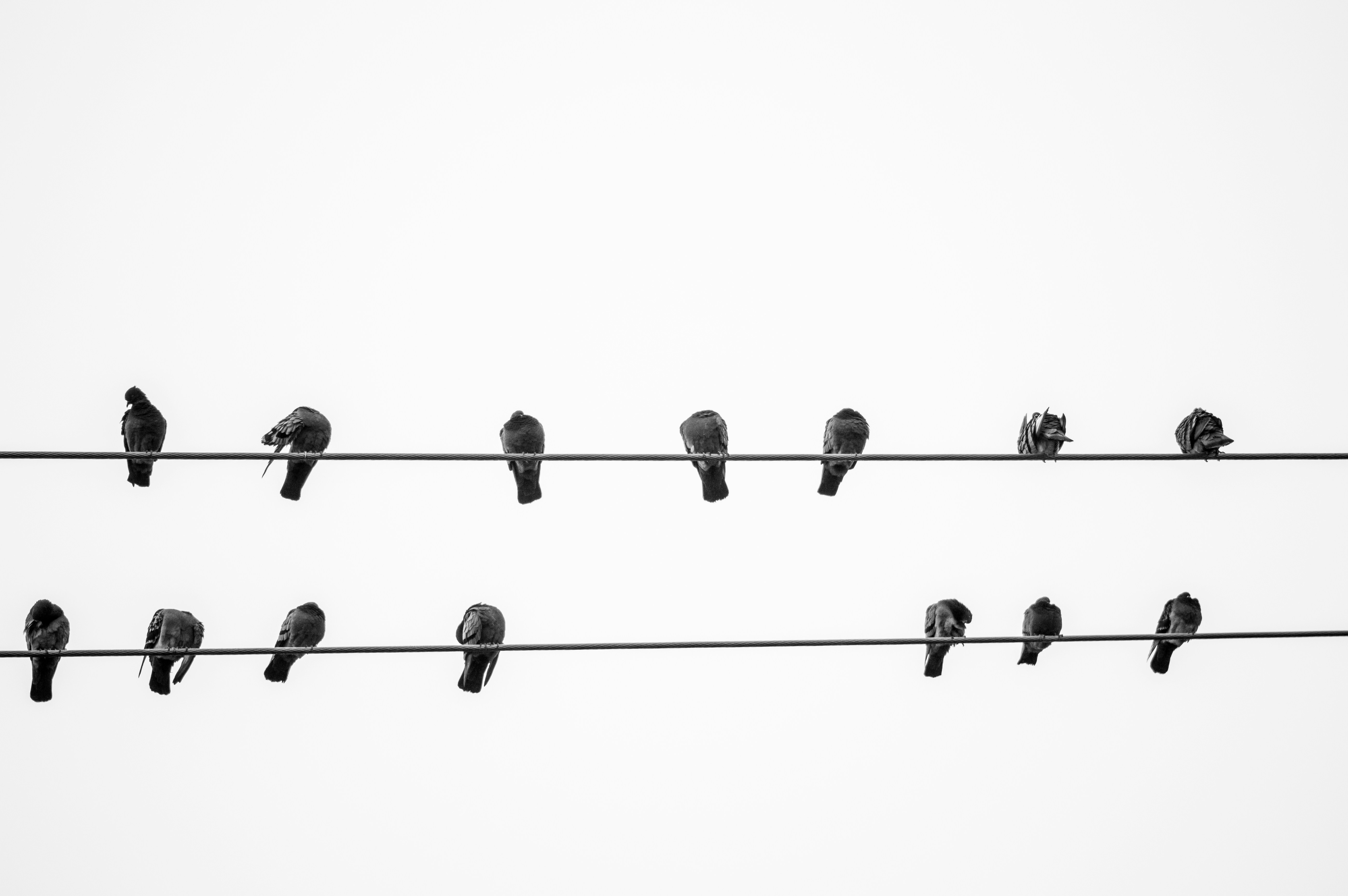 ¿Qué considerar al elegir un socio de bots de redes sociales?