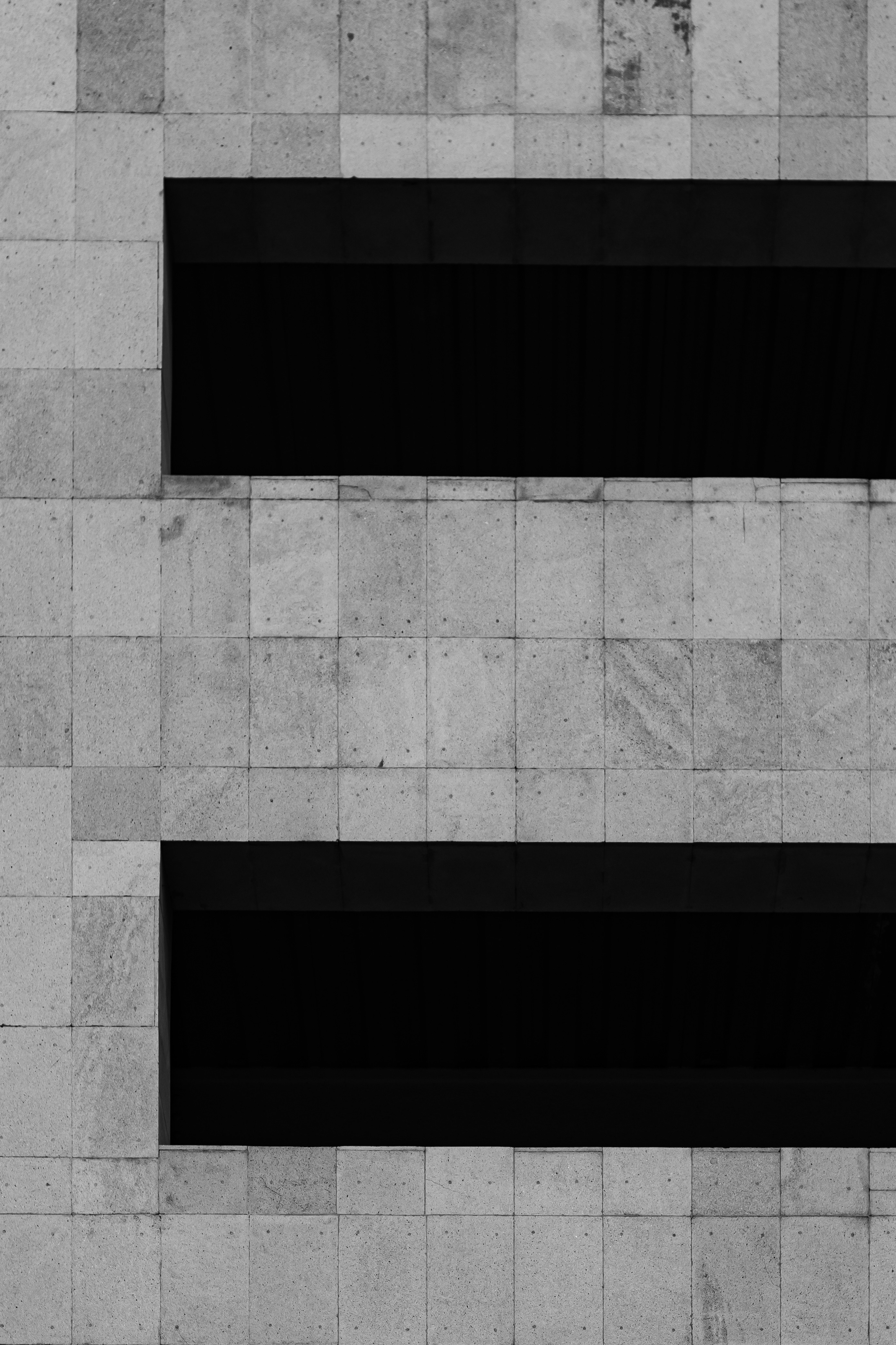 Qué considerar al elegir un socio de software de gestión de clínicas veterinarias?