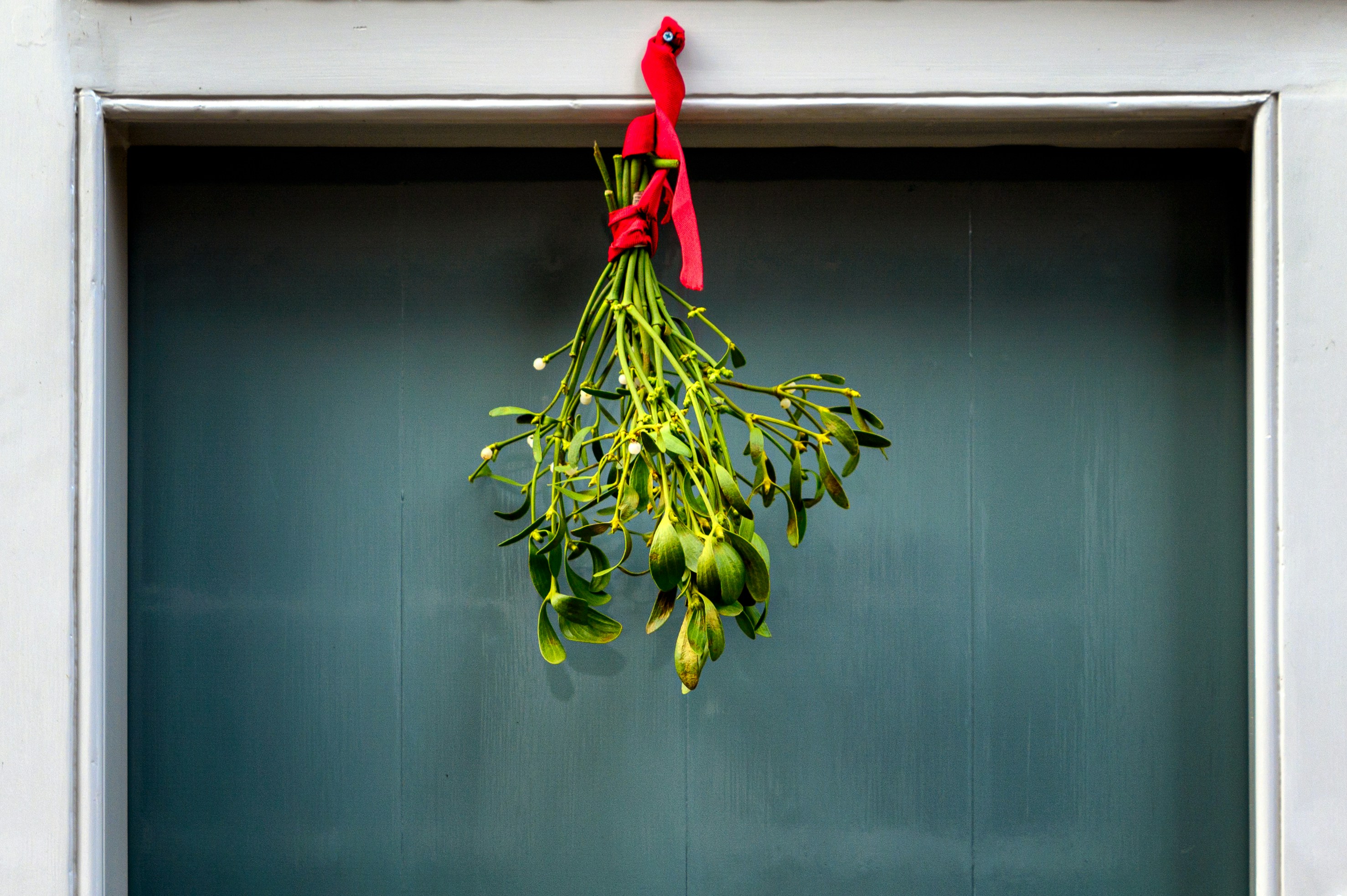 Mistletoe: Ataques Sigilosos de Colapso de Aceleración en la Decodificación Especulativa