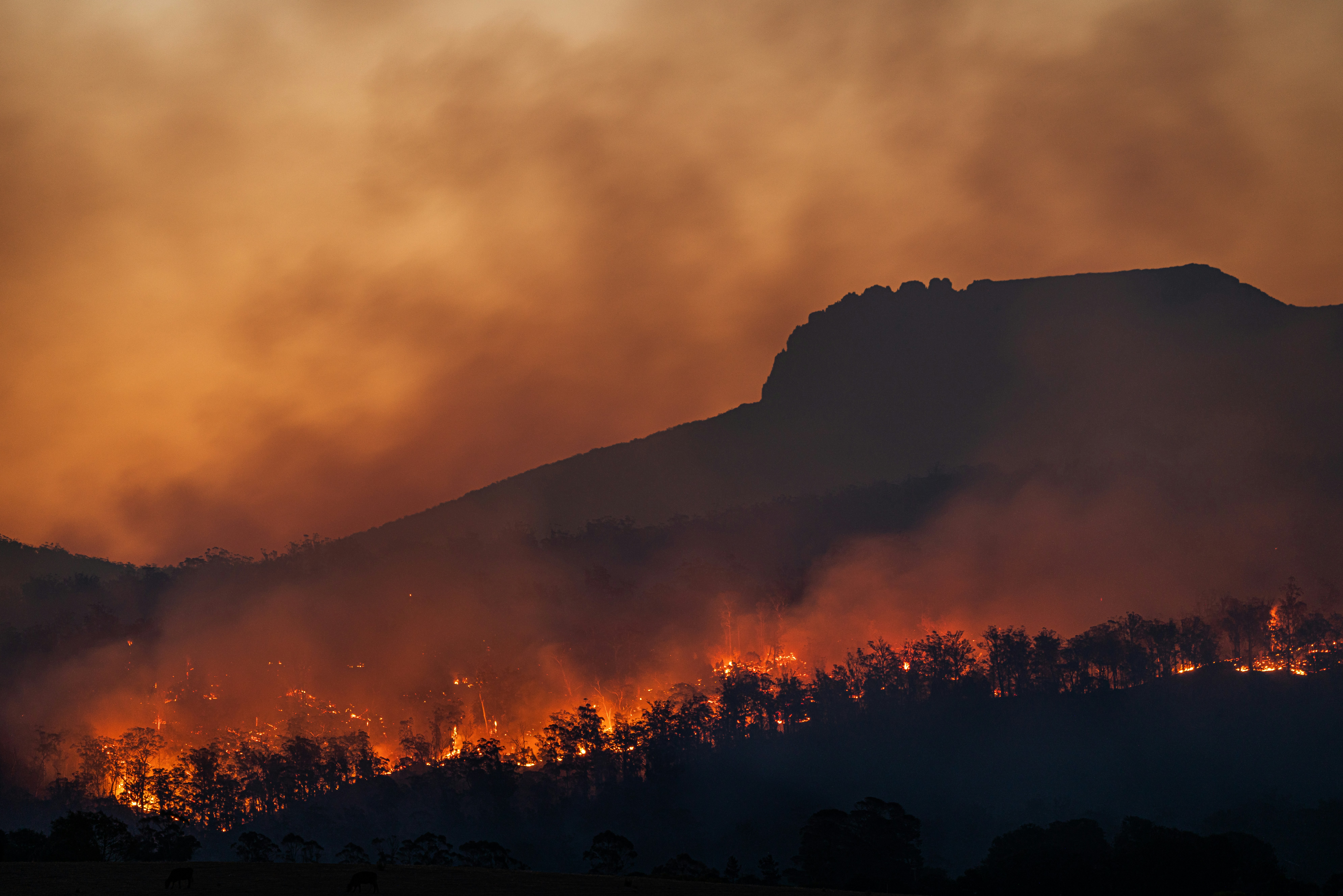 Autómatas Celulares con Parámetros Neuronales para Incendios Forestales