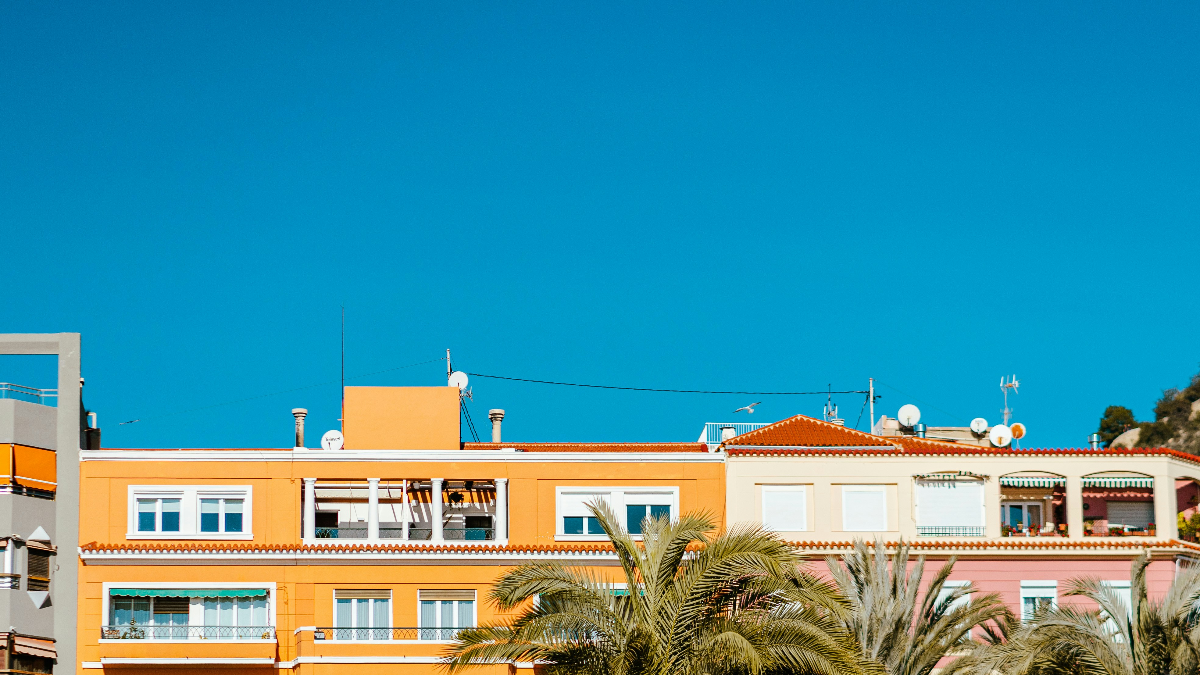 Servicios profesionales de cómo automatizar recordatorios de pago en Alicante