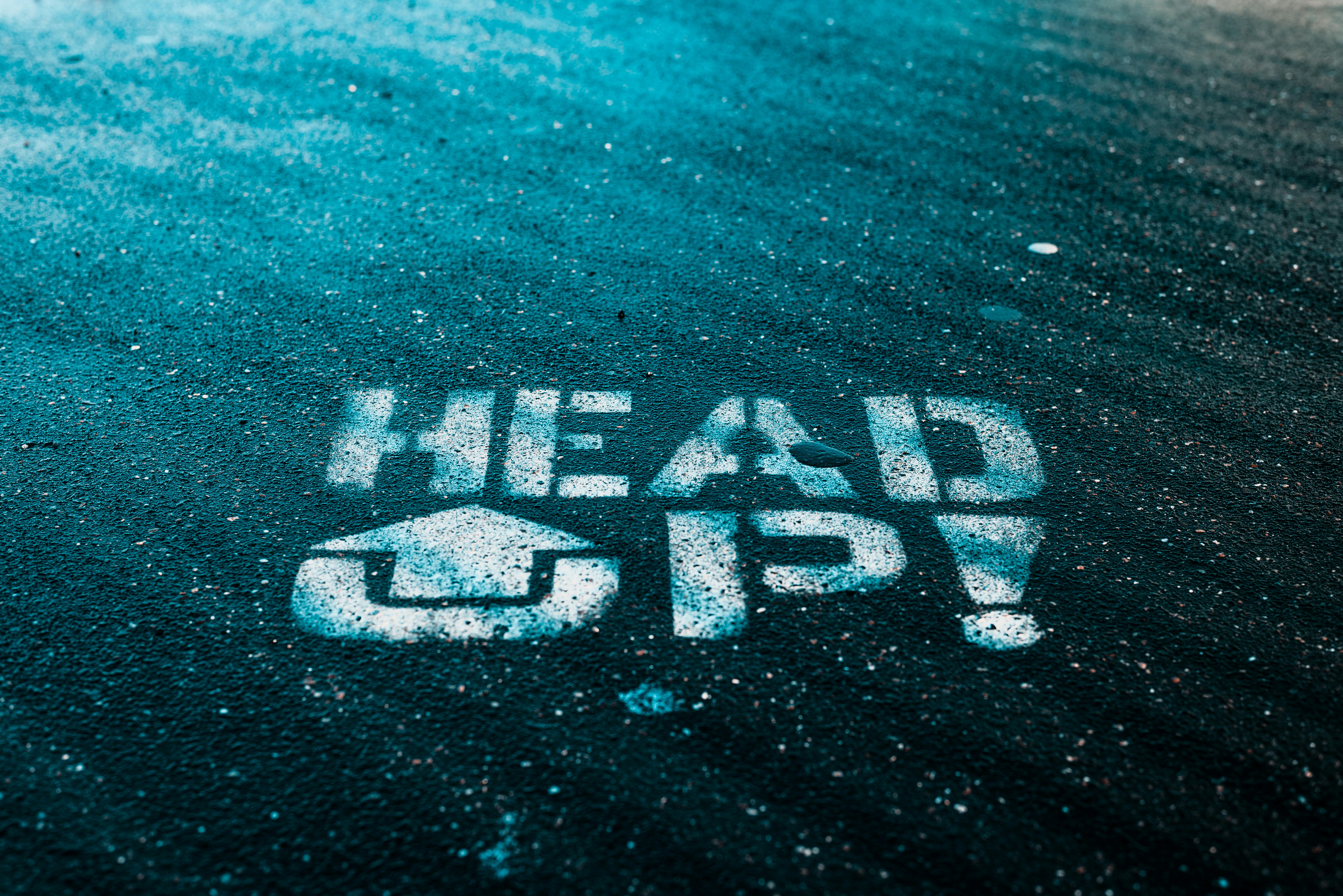 ¿Incluye cómo automatizar la calificación de leads paneles de control o informes?