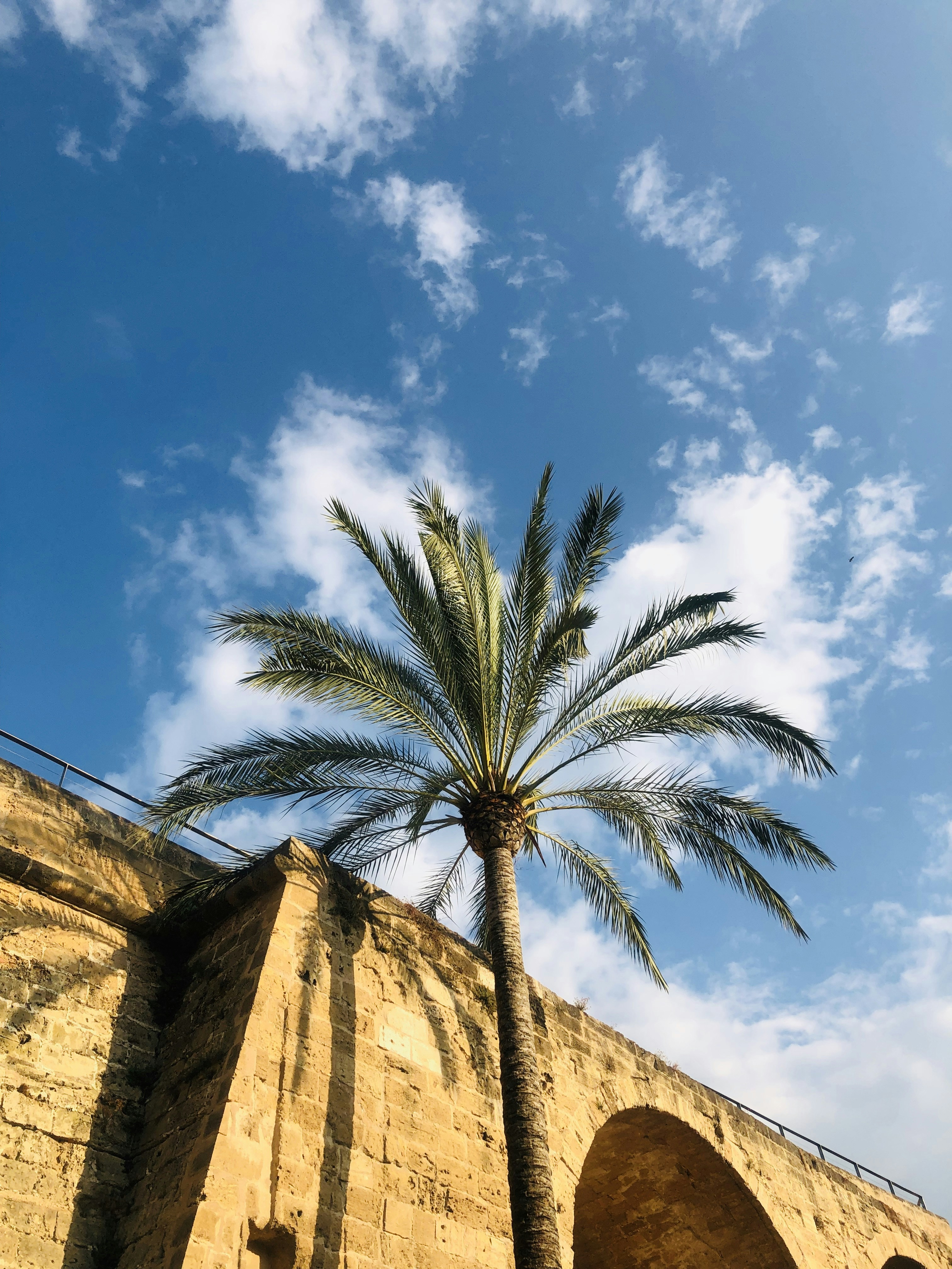 Automatizar la generación de informes contables de una empresa en Palma