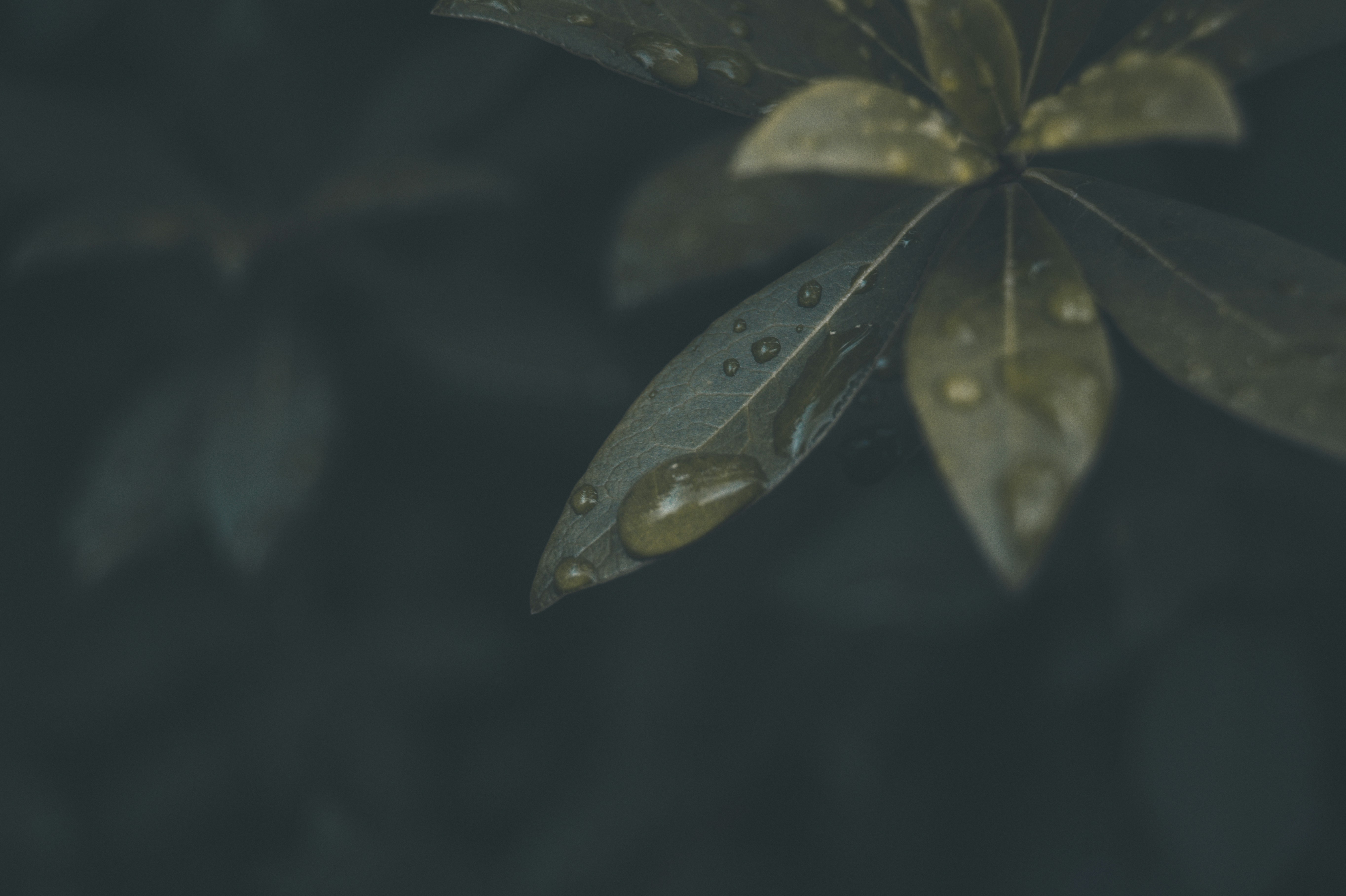 Desafíos y soluciones en la automatización de pruebas de blockchain y web3