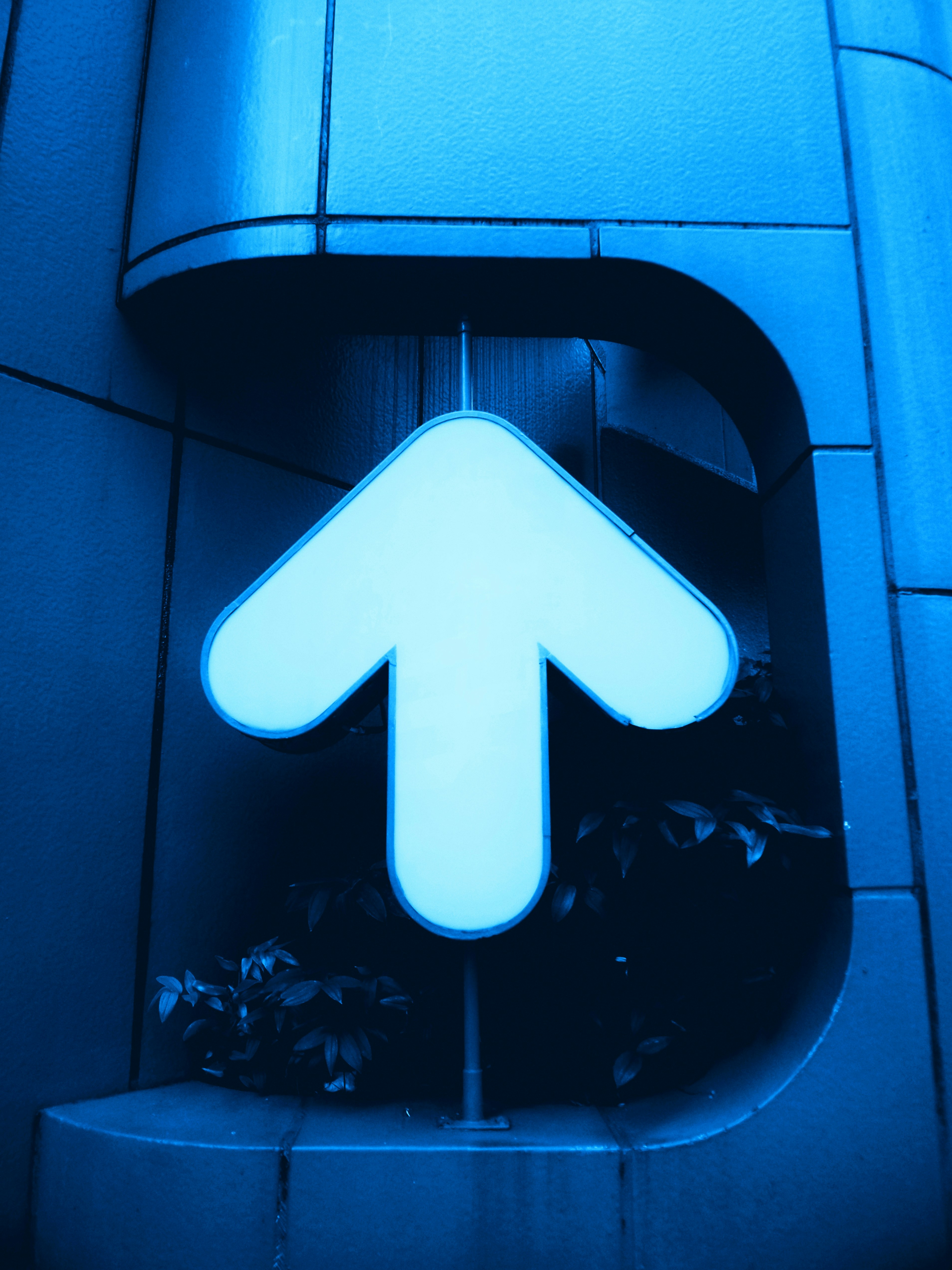 Empresa de cómo automatizar servicios de seguimiento salientes en Palma