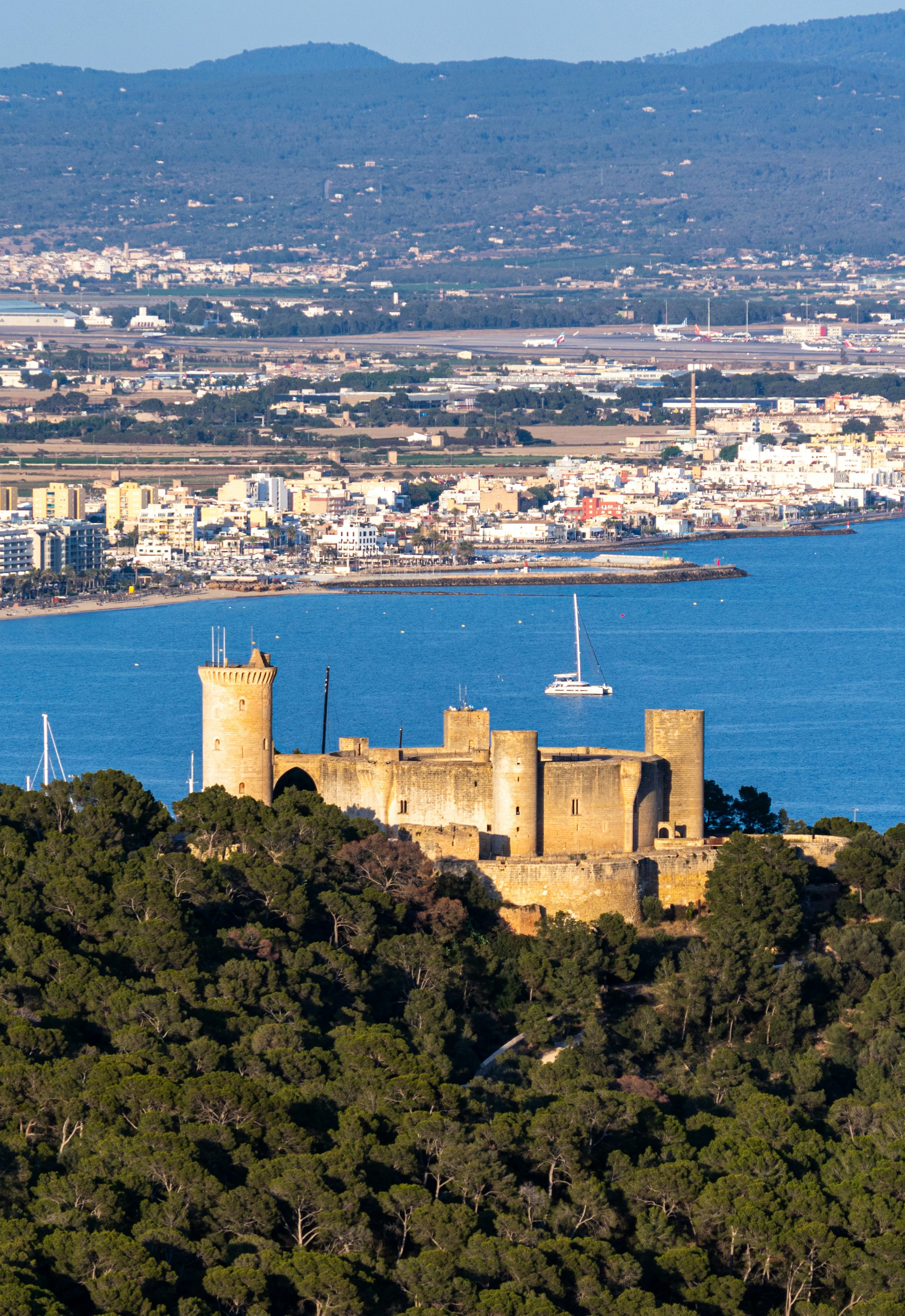 Automatizar el seguimiento obligatorio de la formación de la empresa en Palma