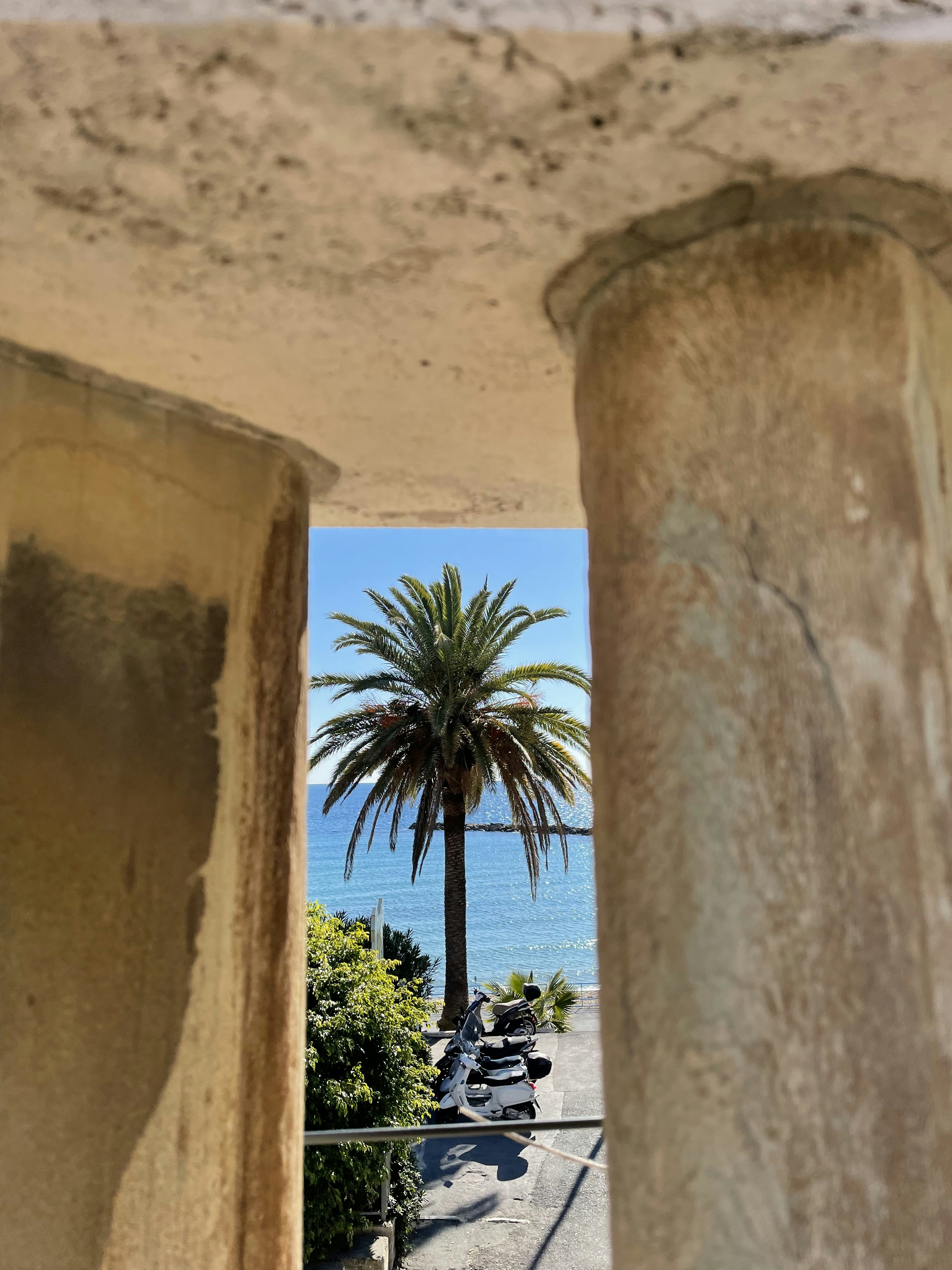 portal de miembros con automatización de renovación en Palma