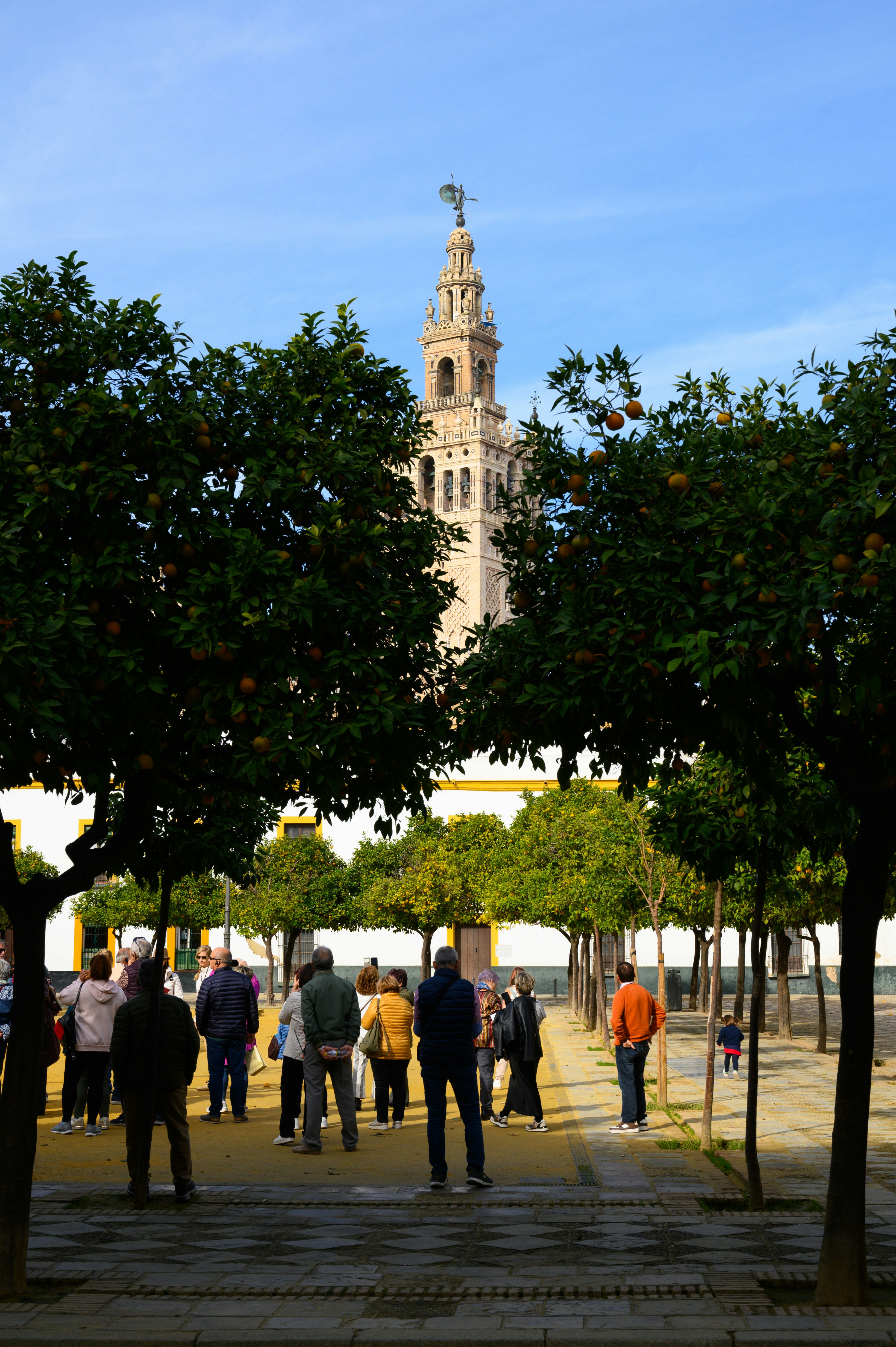 Portal de miembros con automatización de renovaciones en Sevilla: preguntas y respuestas 2026