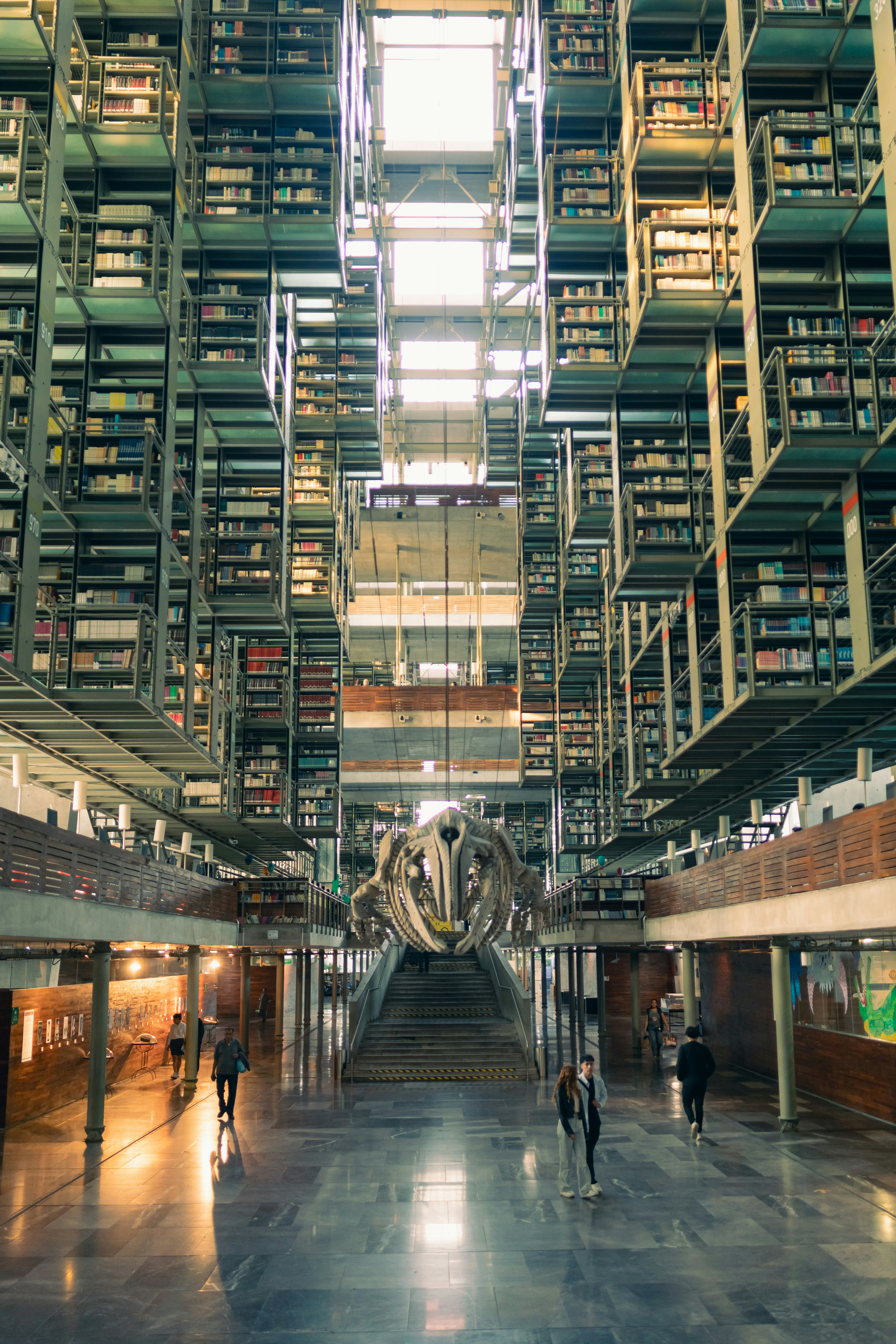 Empresa de portal de miembros con servicios de biblioteca de contenidos en Las Palmas de Gran Canaria