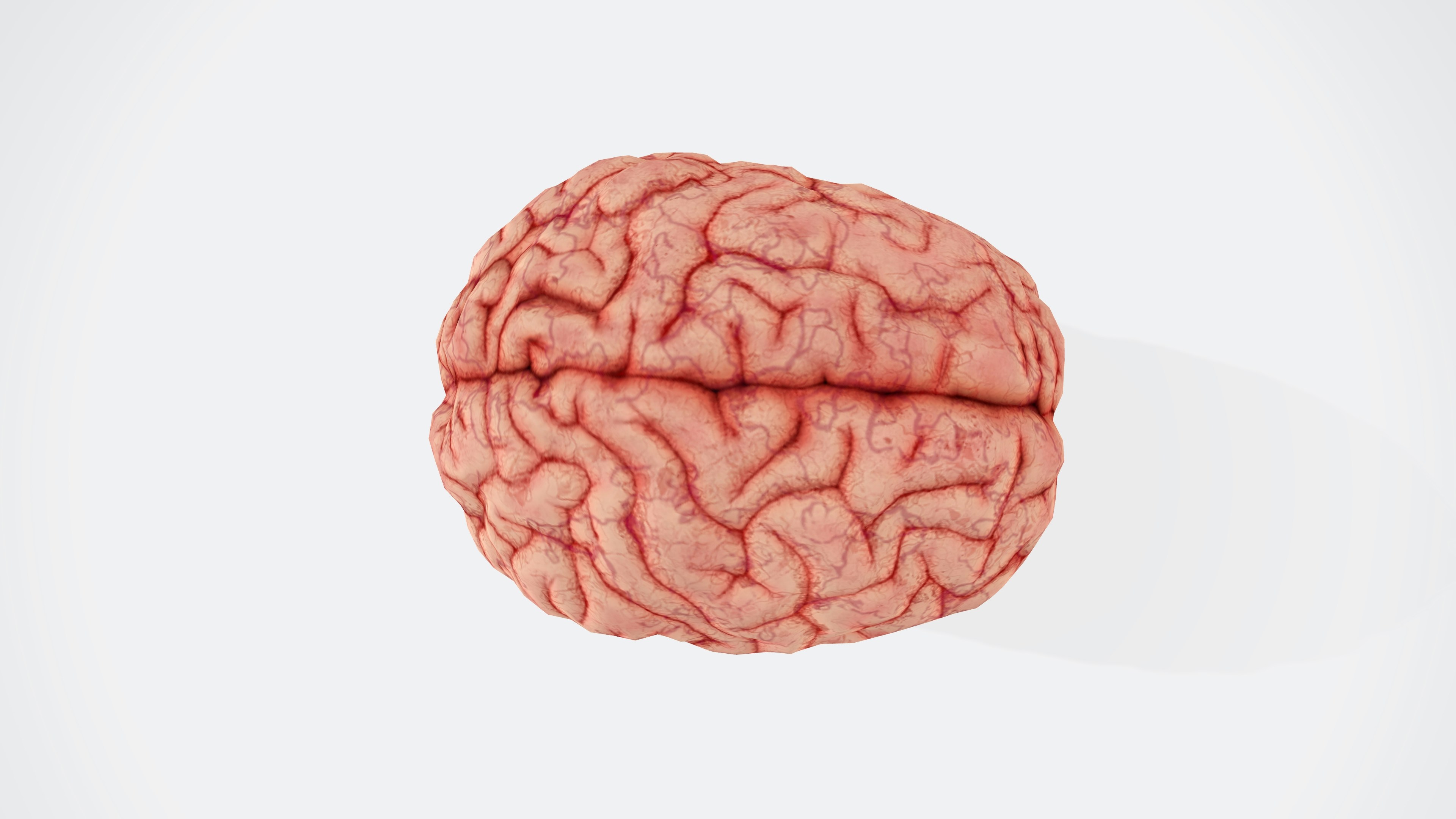 Brain-IT-VQA: De señales cerebrales a respuestas