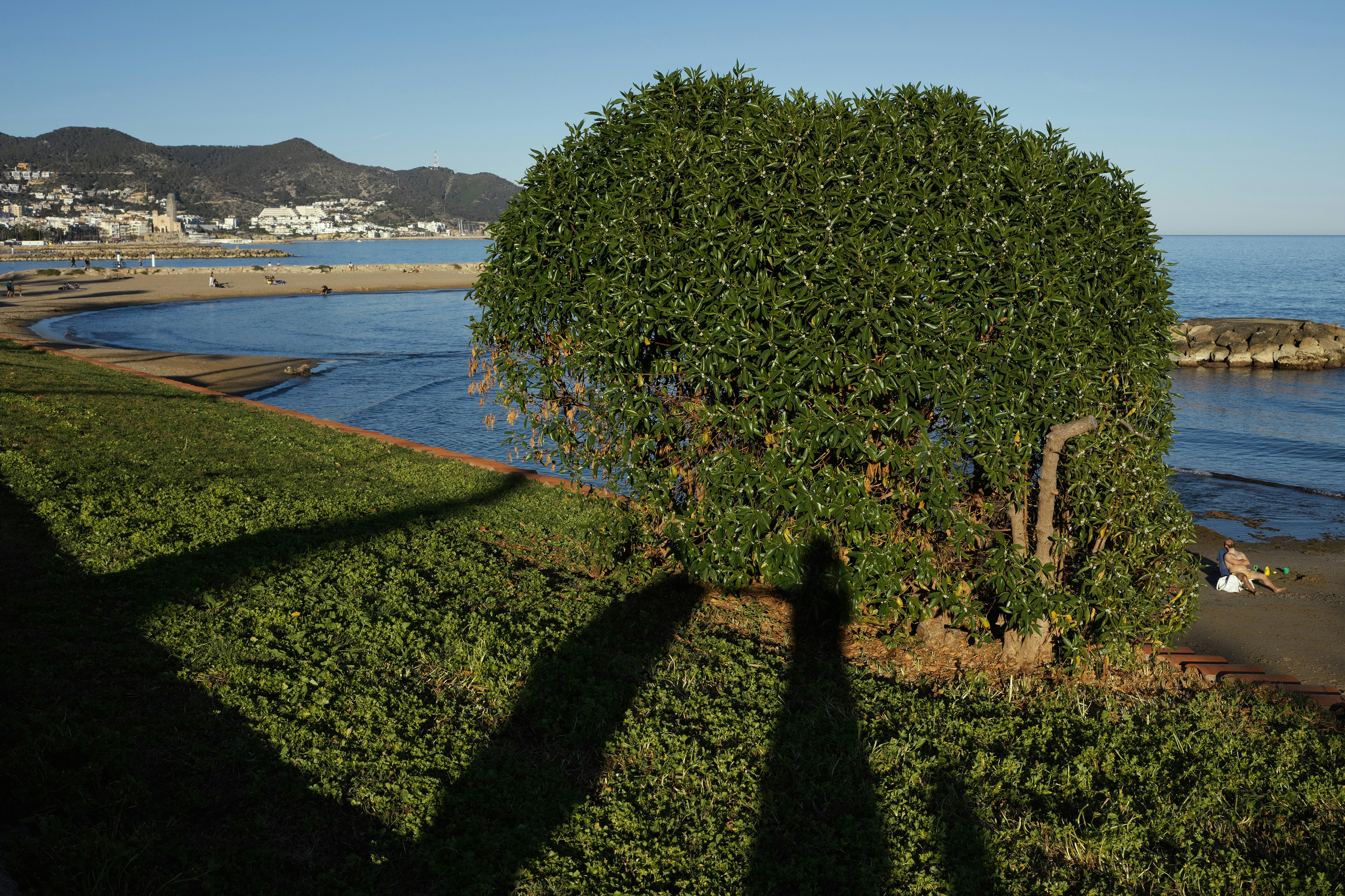 Búsqueda de Árbol de Pensamiento basada en Novedad para el Razonamiento y Planificación de LLM