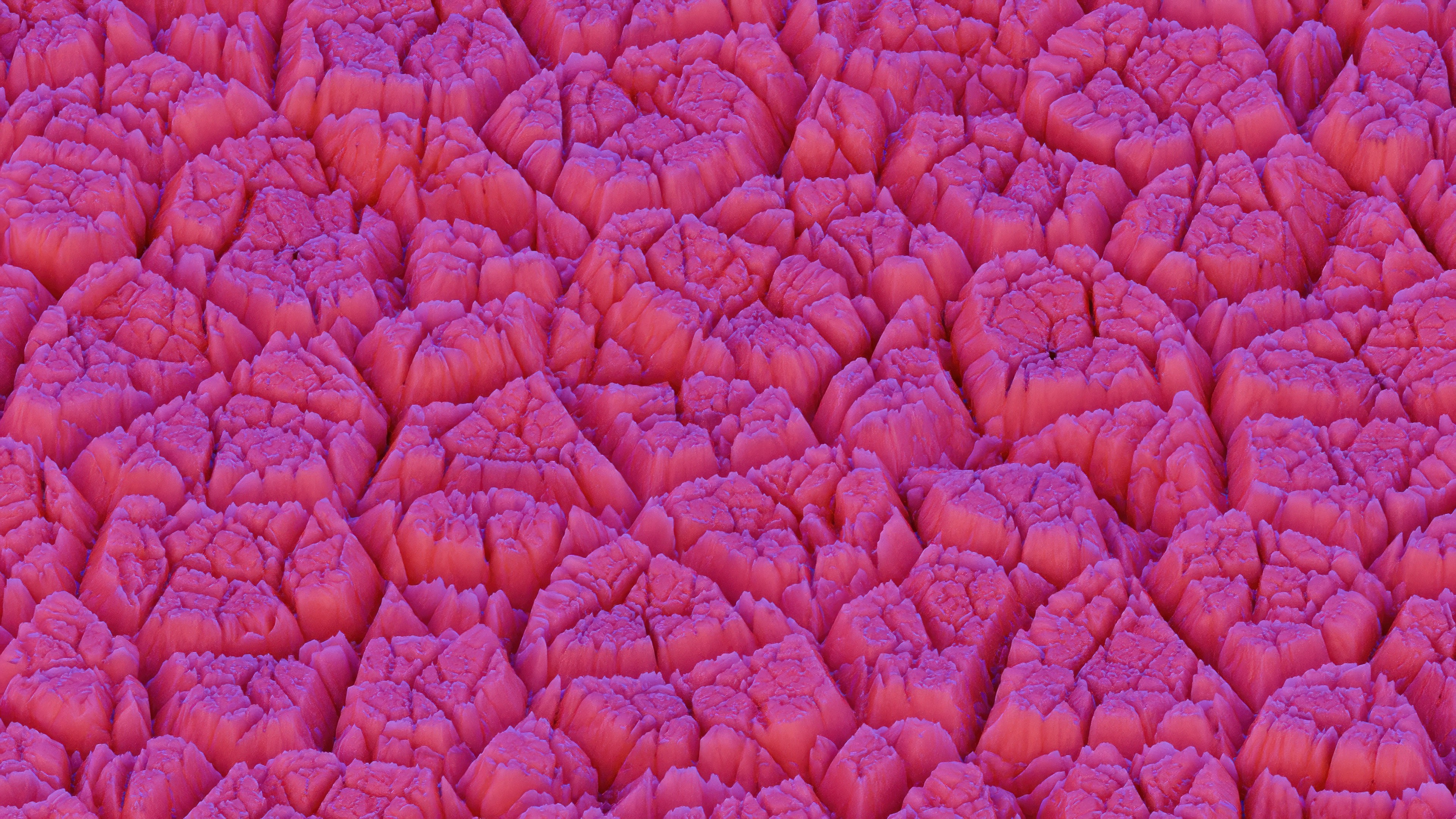 Camuflaje Adversarial Estructurado con Diagramas de Voronoi