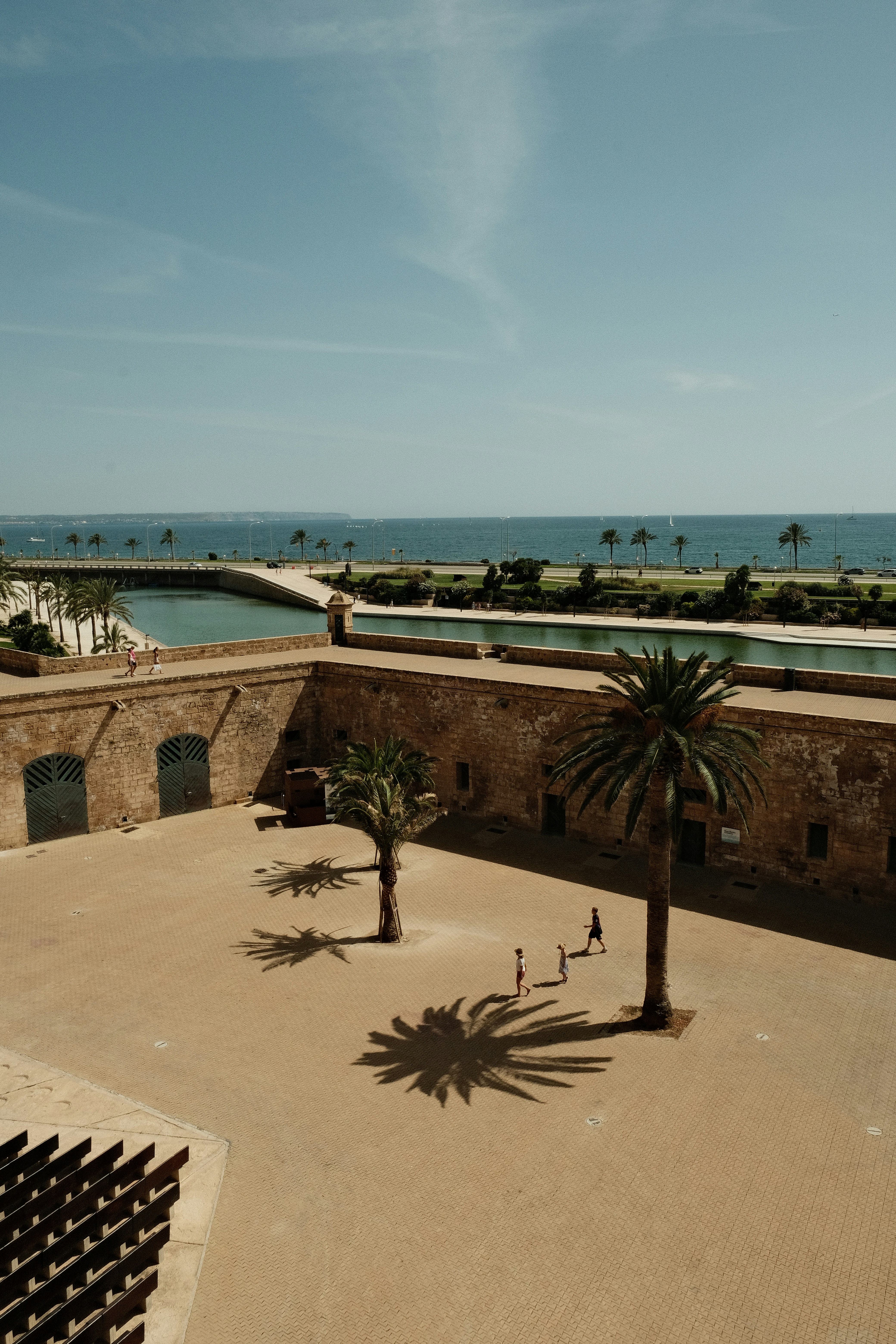 Chatbot a medida para negocios en Palma
