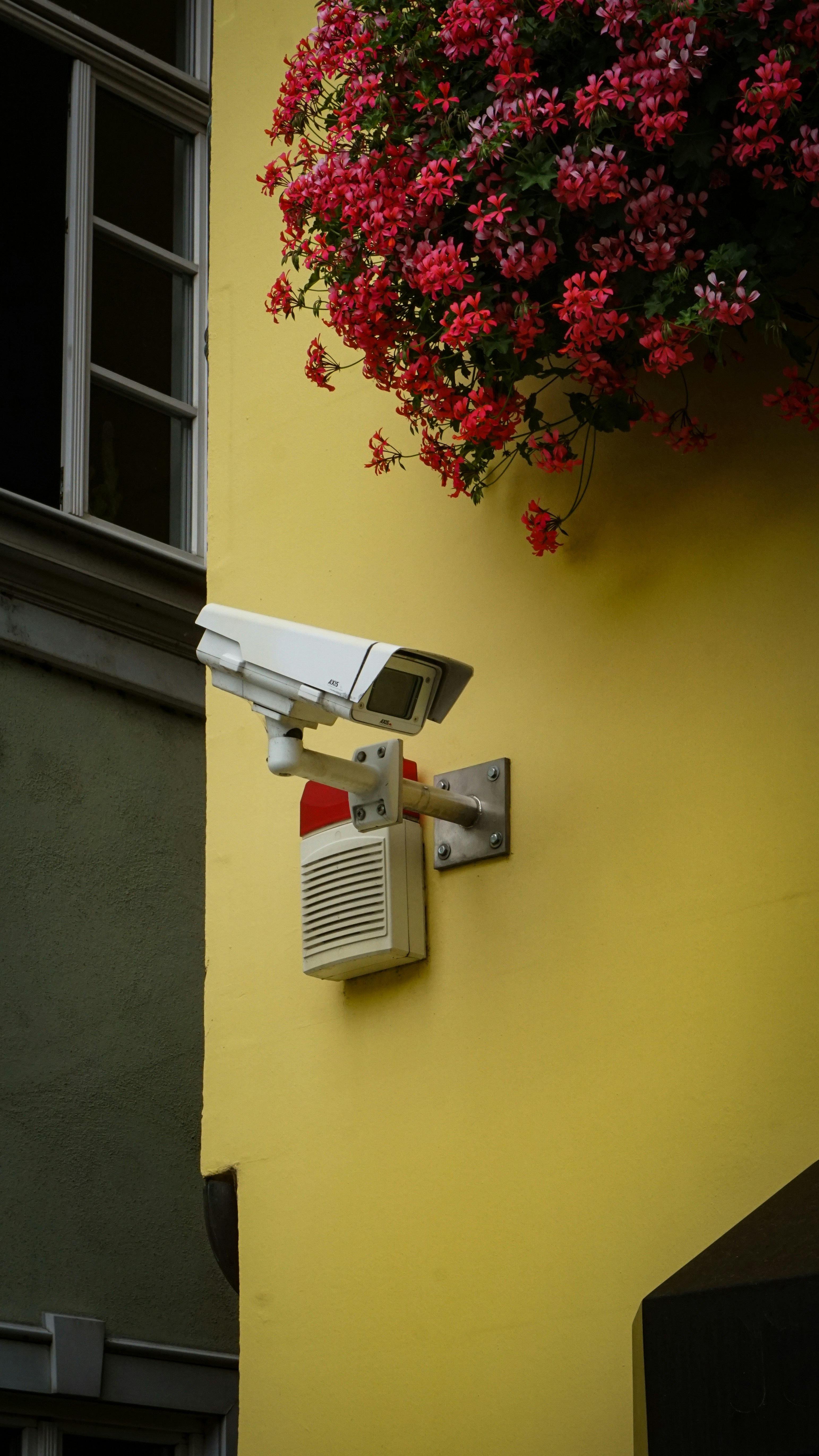 Privacidad en subdominios: Aquí son los aspectos en que debes enfocarte