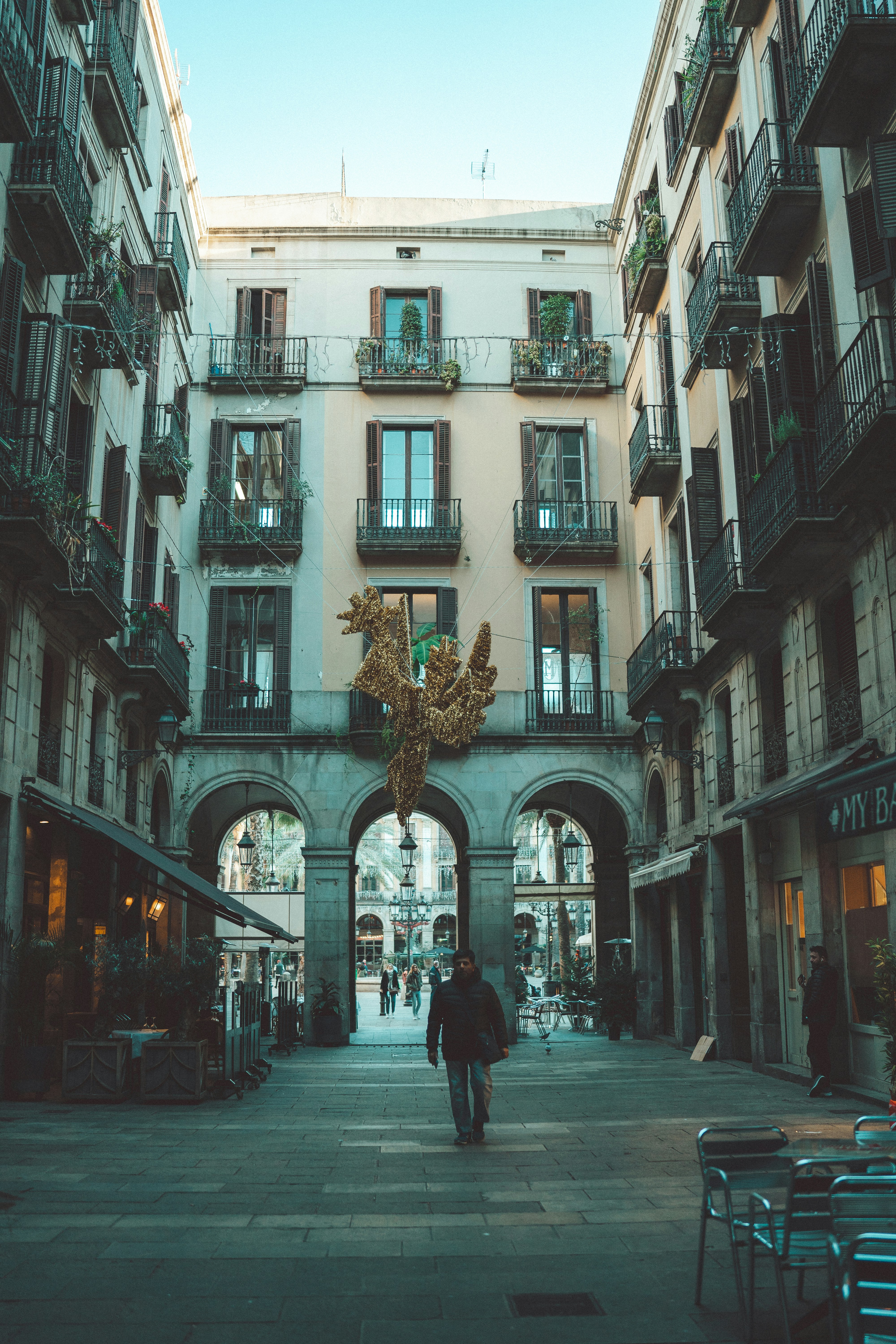 La guía definitiva para encontrar el portal de inversionistas con llamadas de capital en Palma 2026