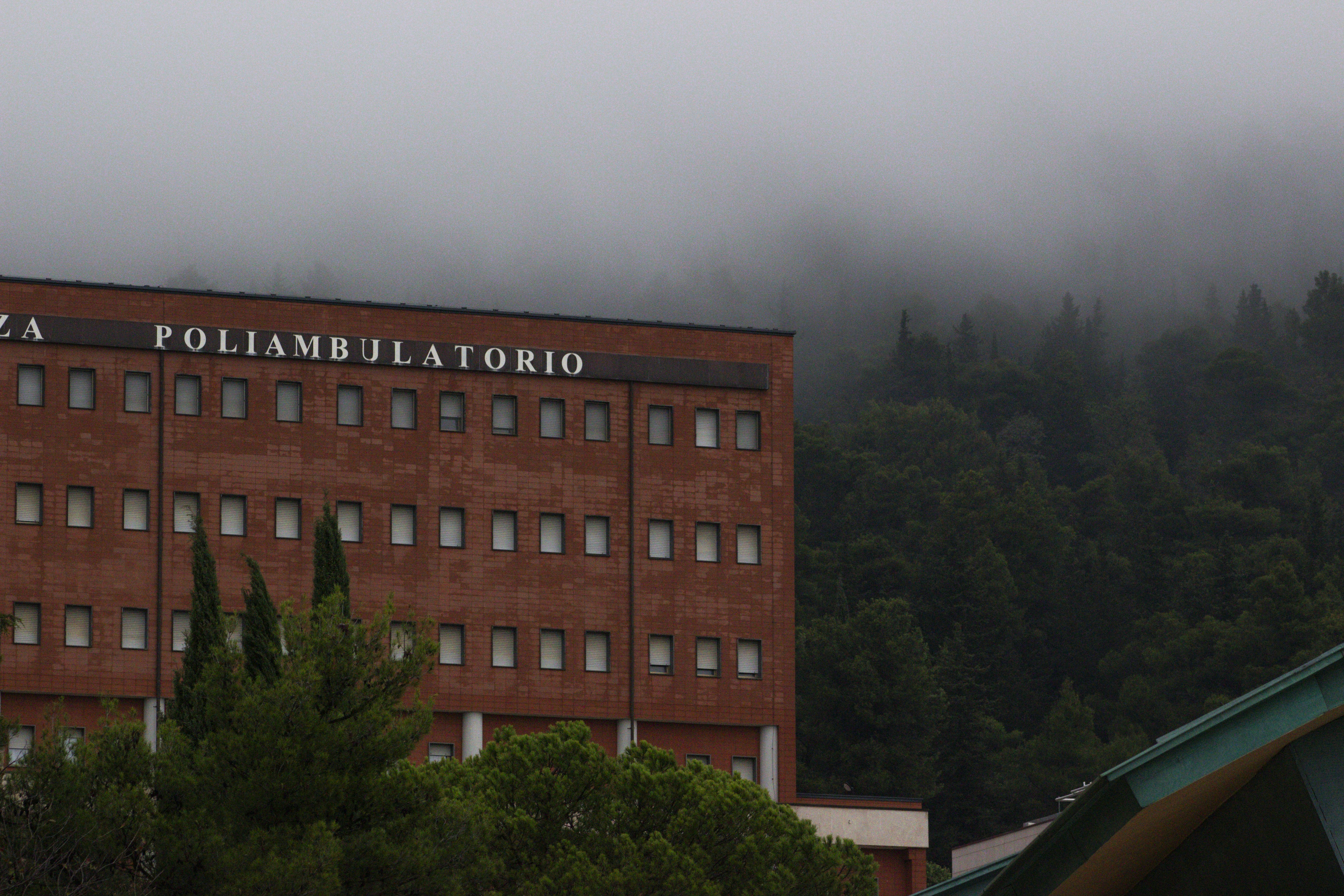 Compañía de servicios de inteligencia artificial en Las Palmas de Gran Canaria