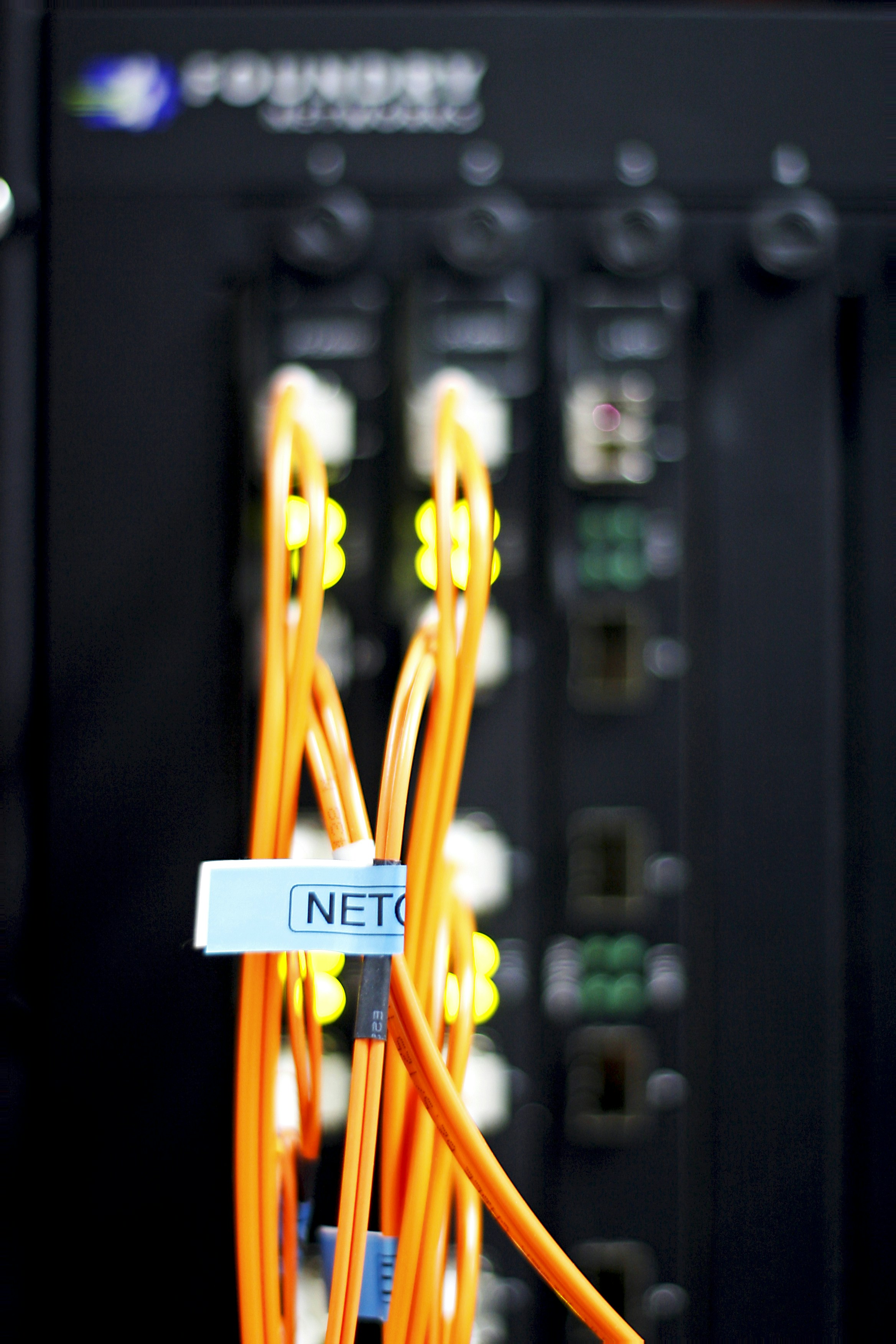 NET contra ASP.NET - Haz la elección correcta para tu próximo proyecto