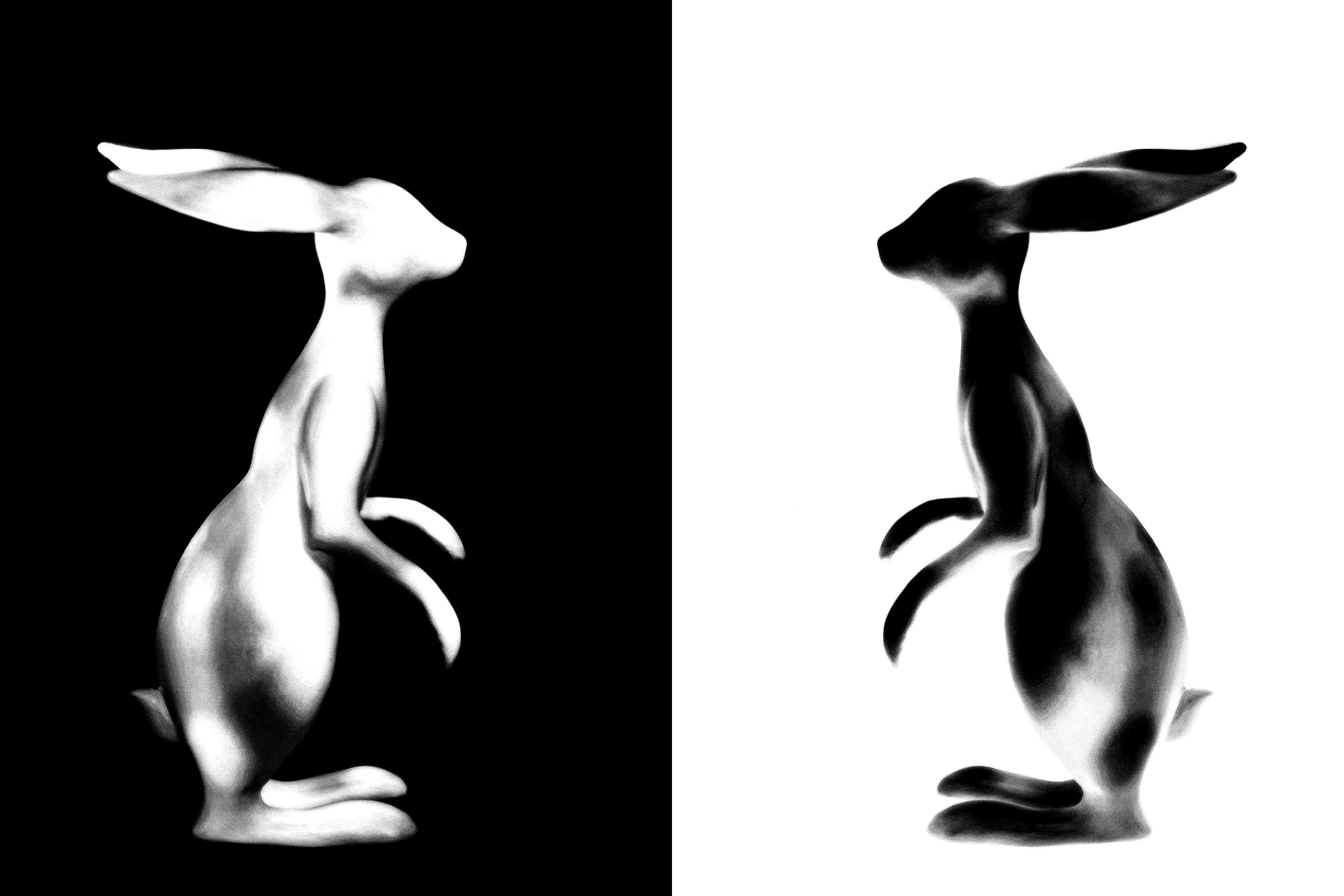 Comparación del entrenamiento del modelo base de Qwen Image vs el entrenamiento FLUX SRPO con 20 imágenes