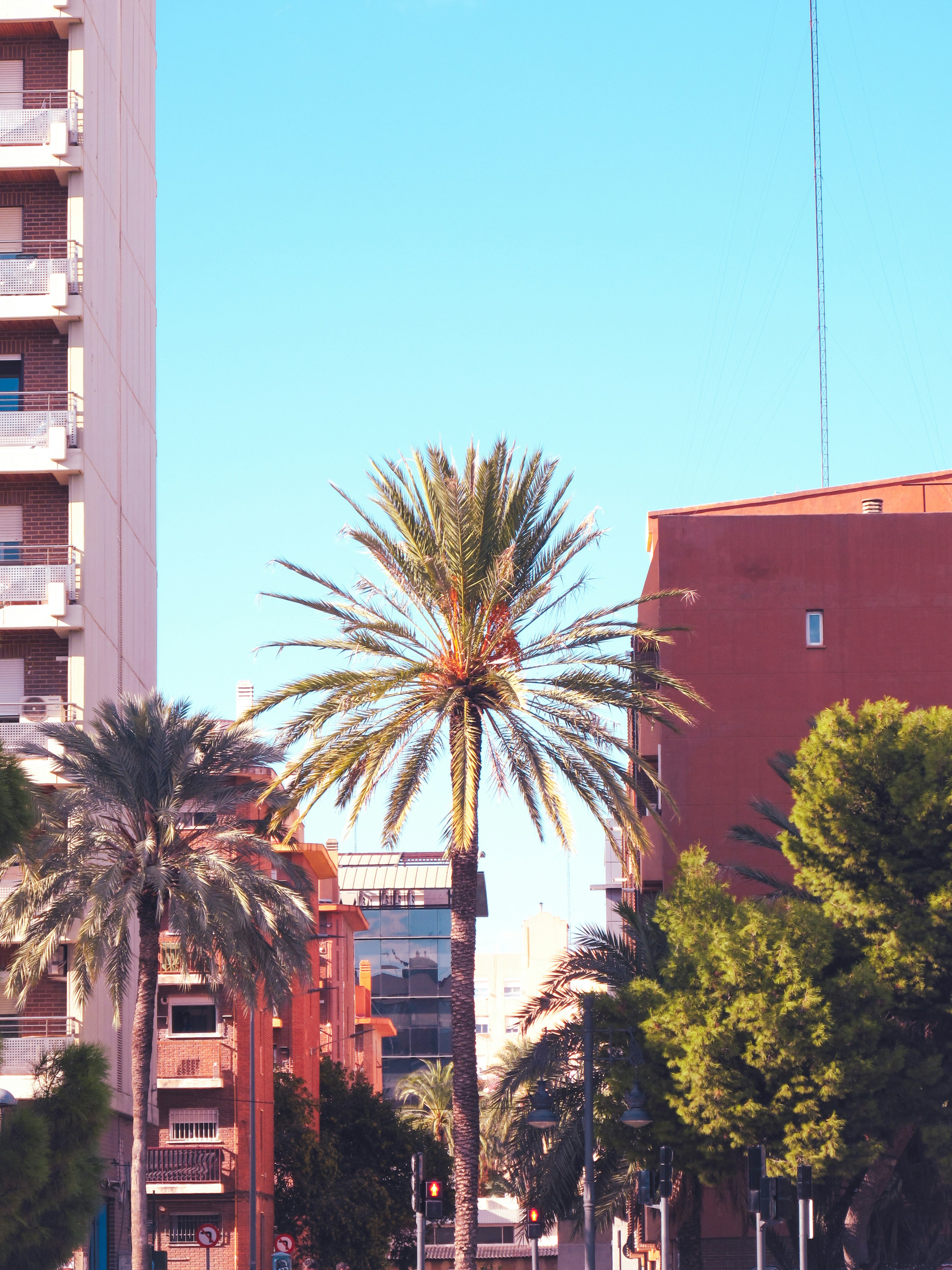 Mejor deshacerse de la entrada de datos duplicados en Valencia 2026: Tabla Comparativa